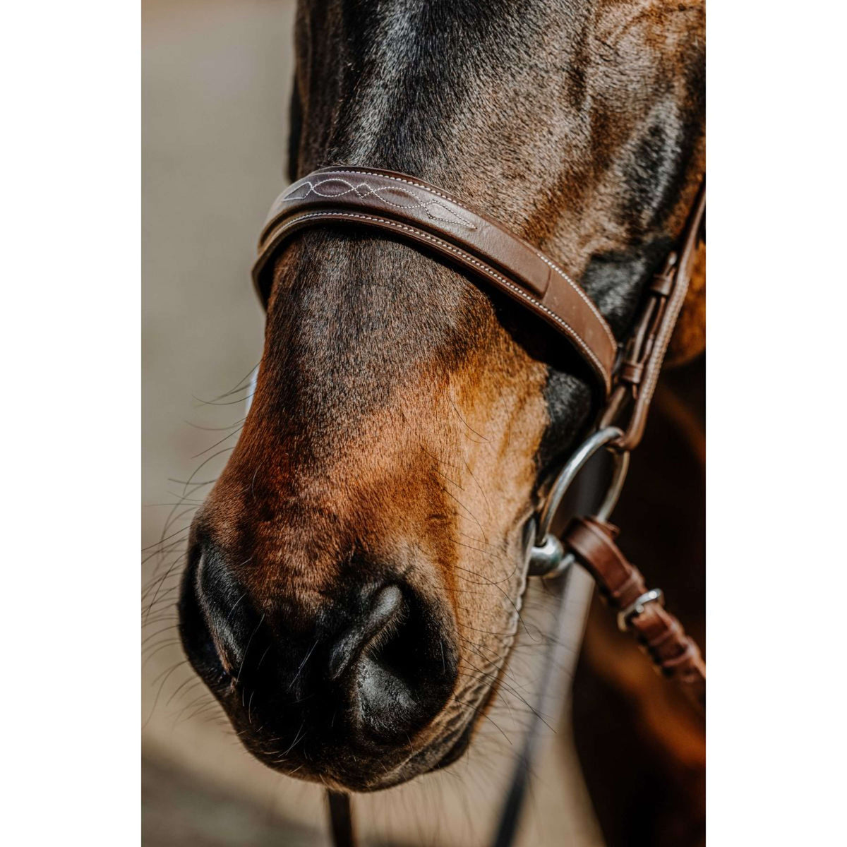 Norton Zaum Hunter Havanna