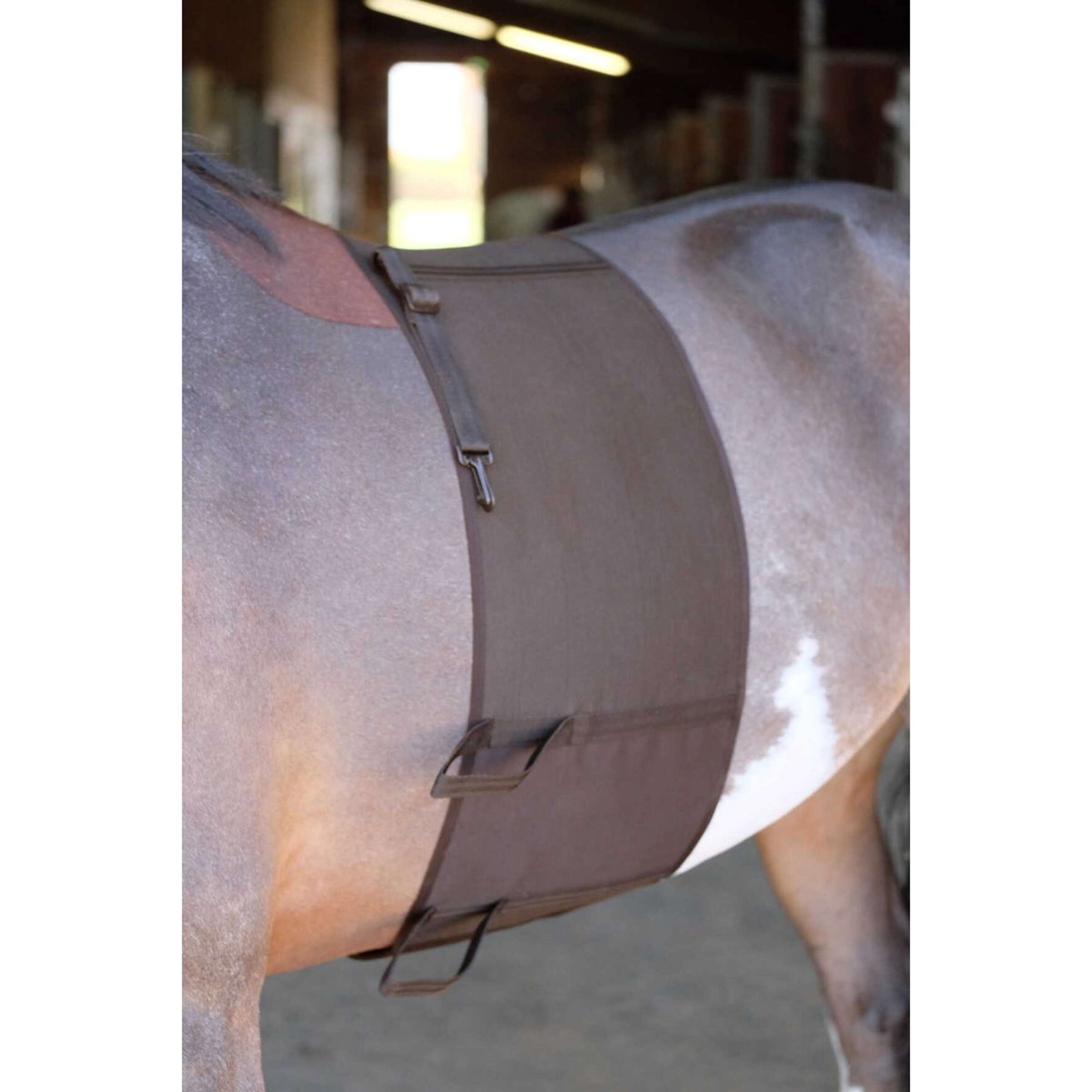 Norton Sporenschutz Braun