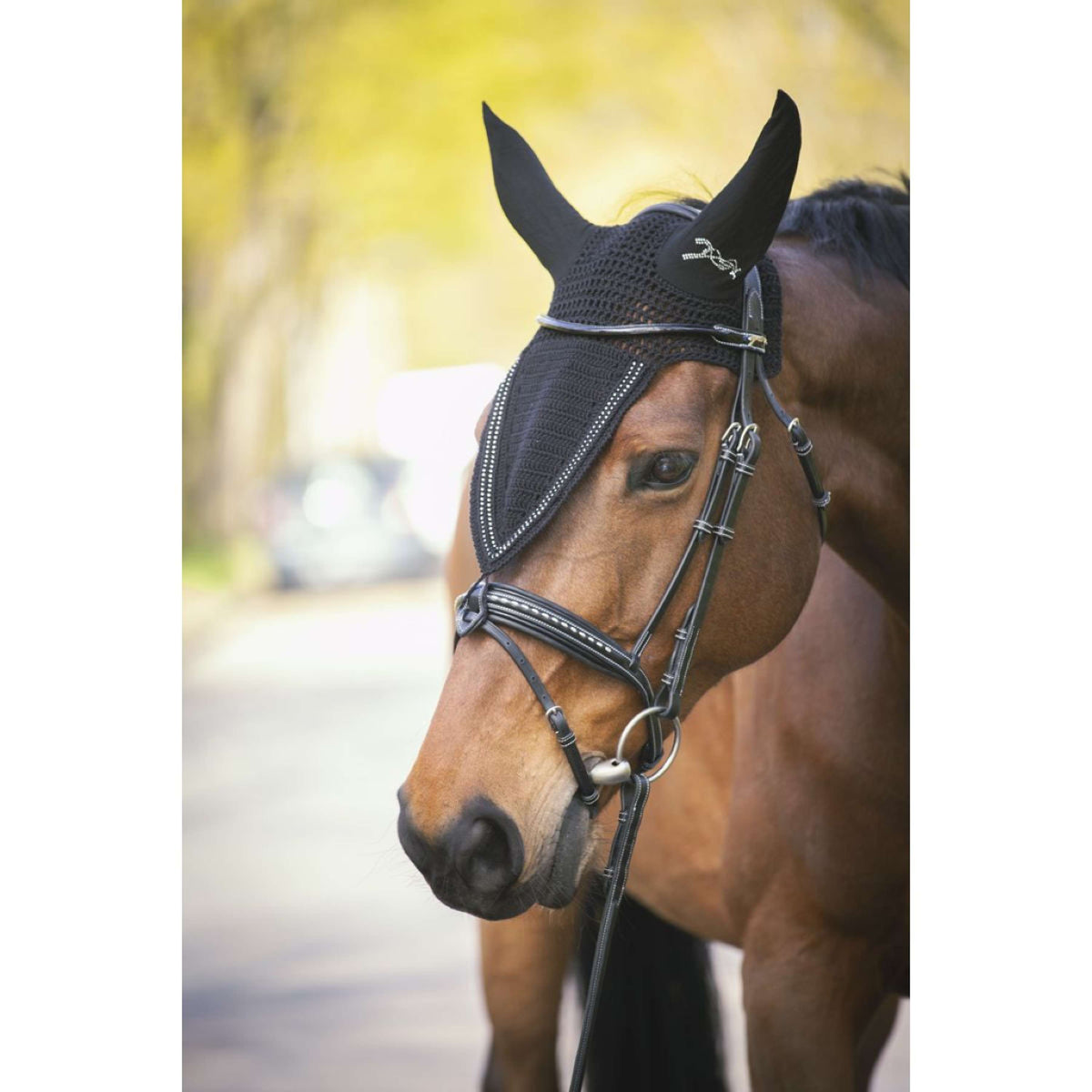 Pénélope Fliegenhaube Strass Lang Schwarz