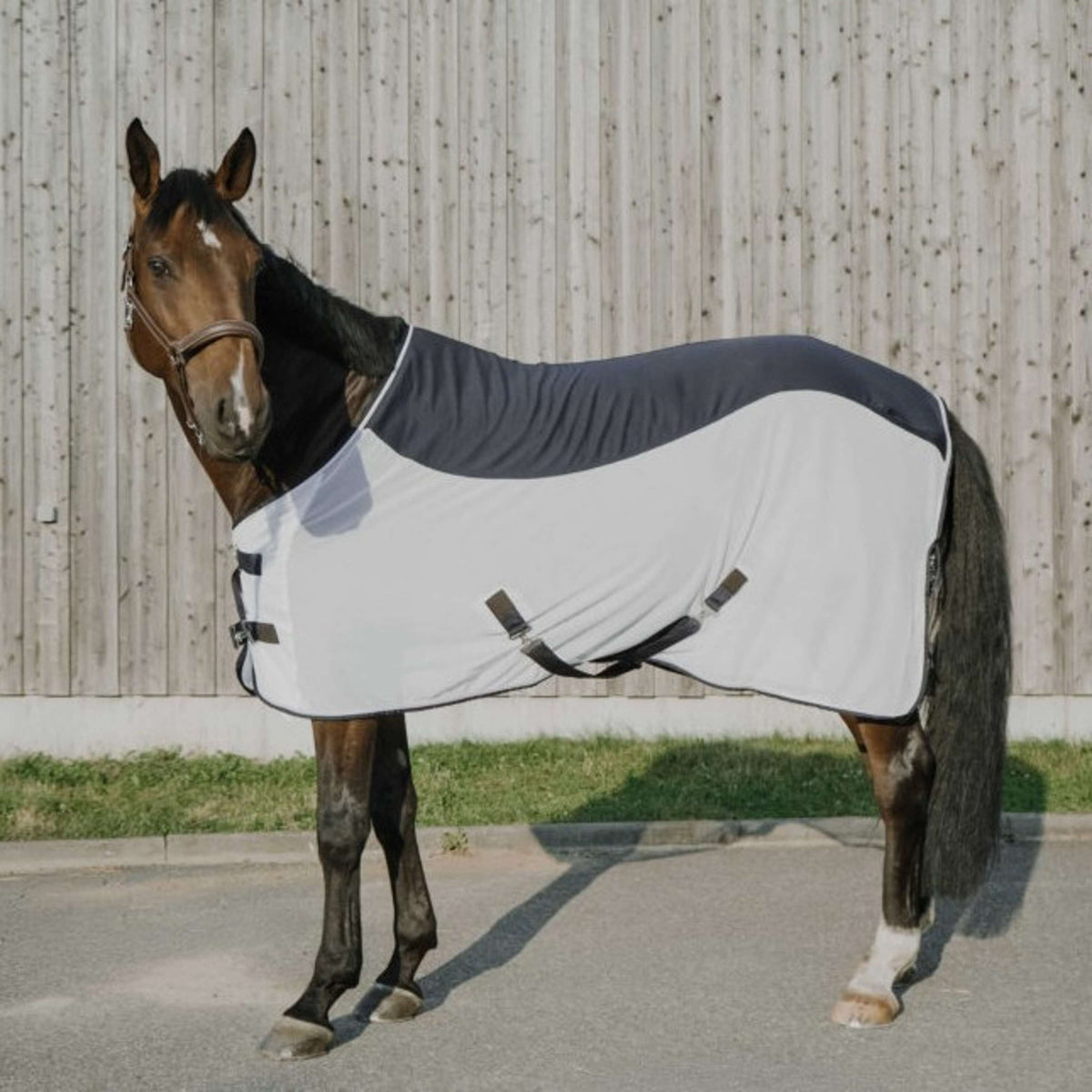 EQUITHÈME Fliegendecke Flycool Standard Navy/Weiß