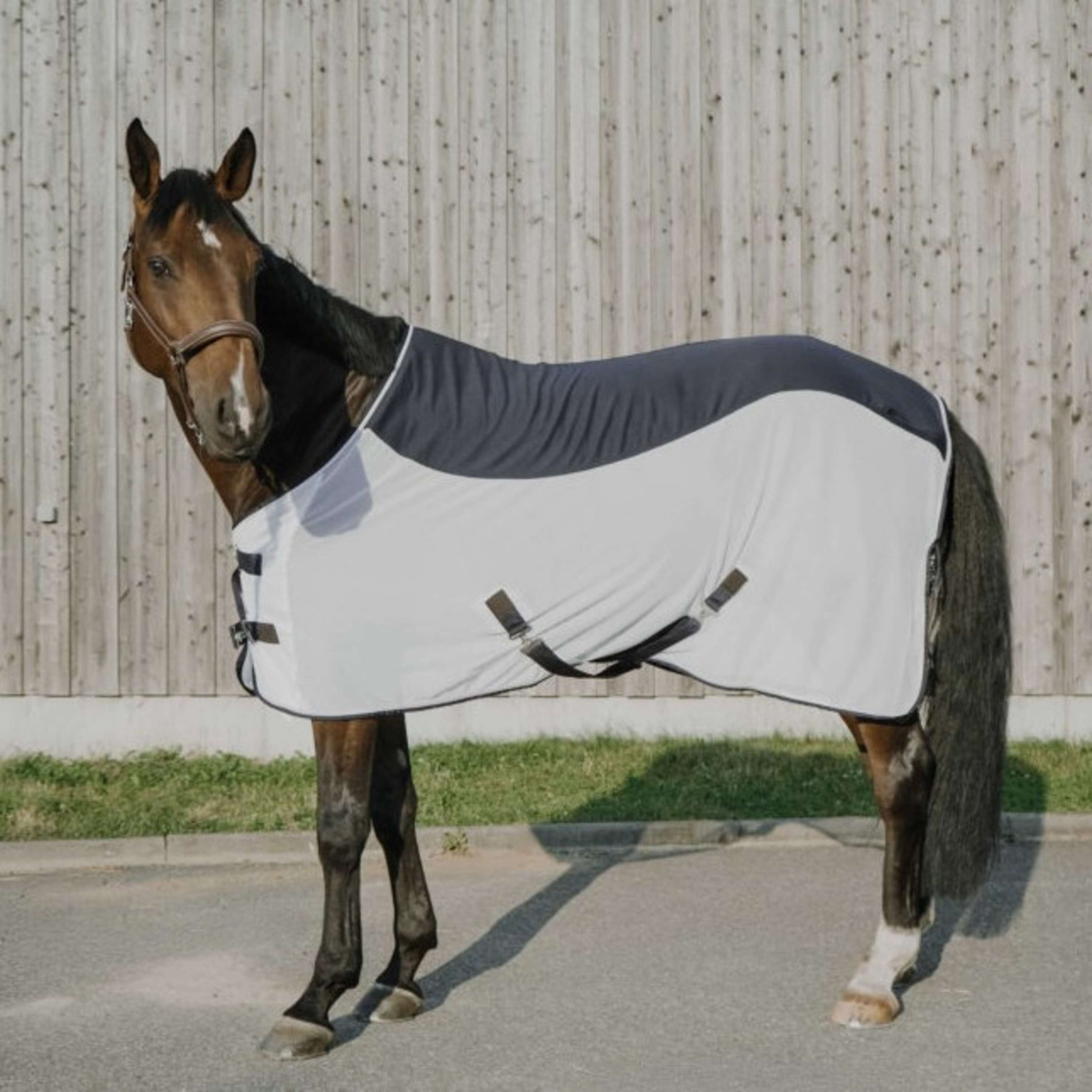 EQUITHÈME Fliegendecke Flycool Standard Navy/Weiß