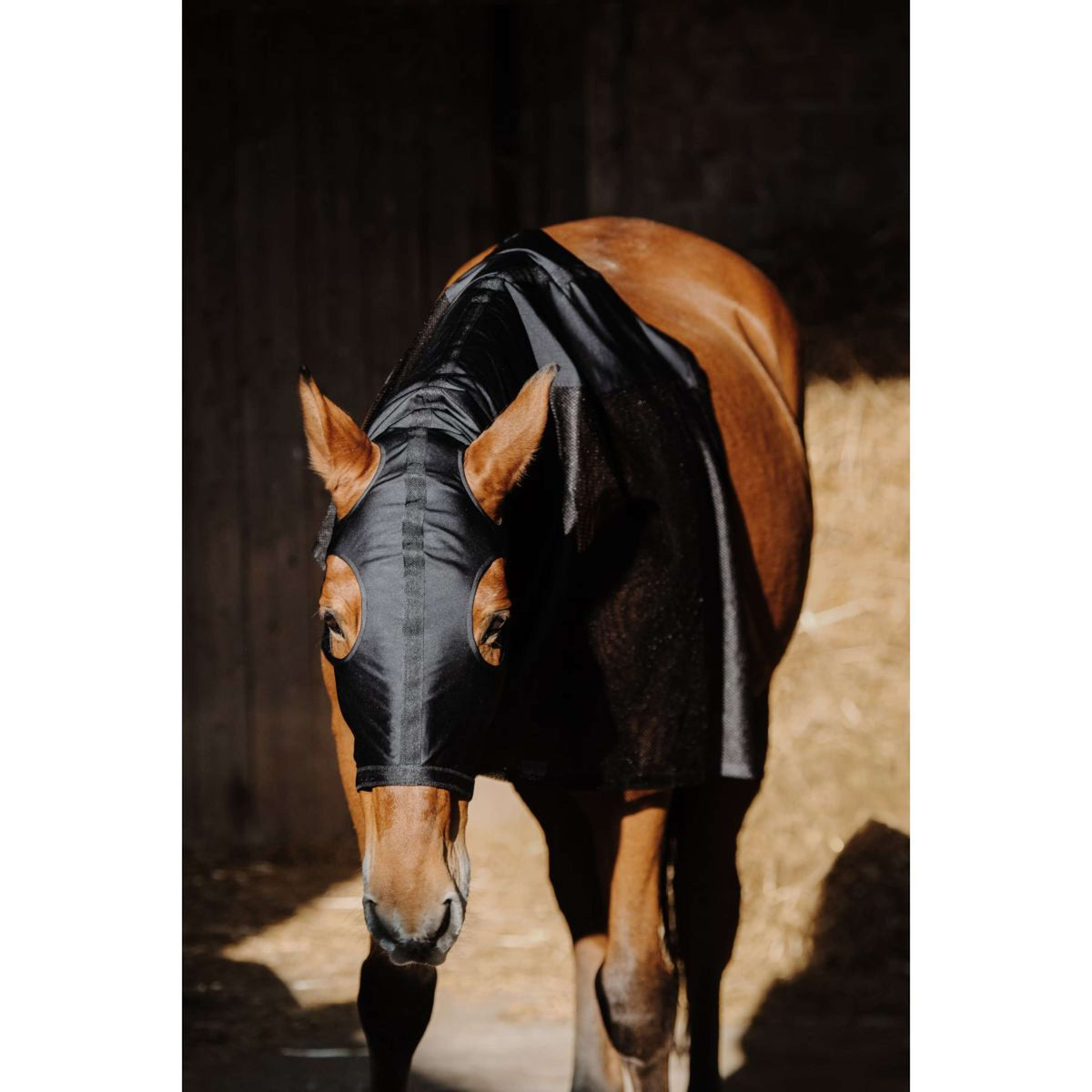 EQUITHÈME Nackenschutz Lycra/Mesh Schwarz