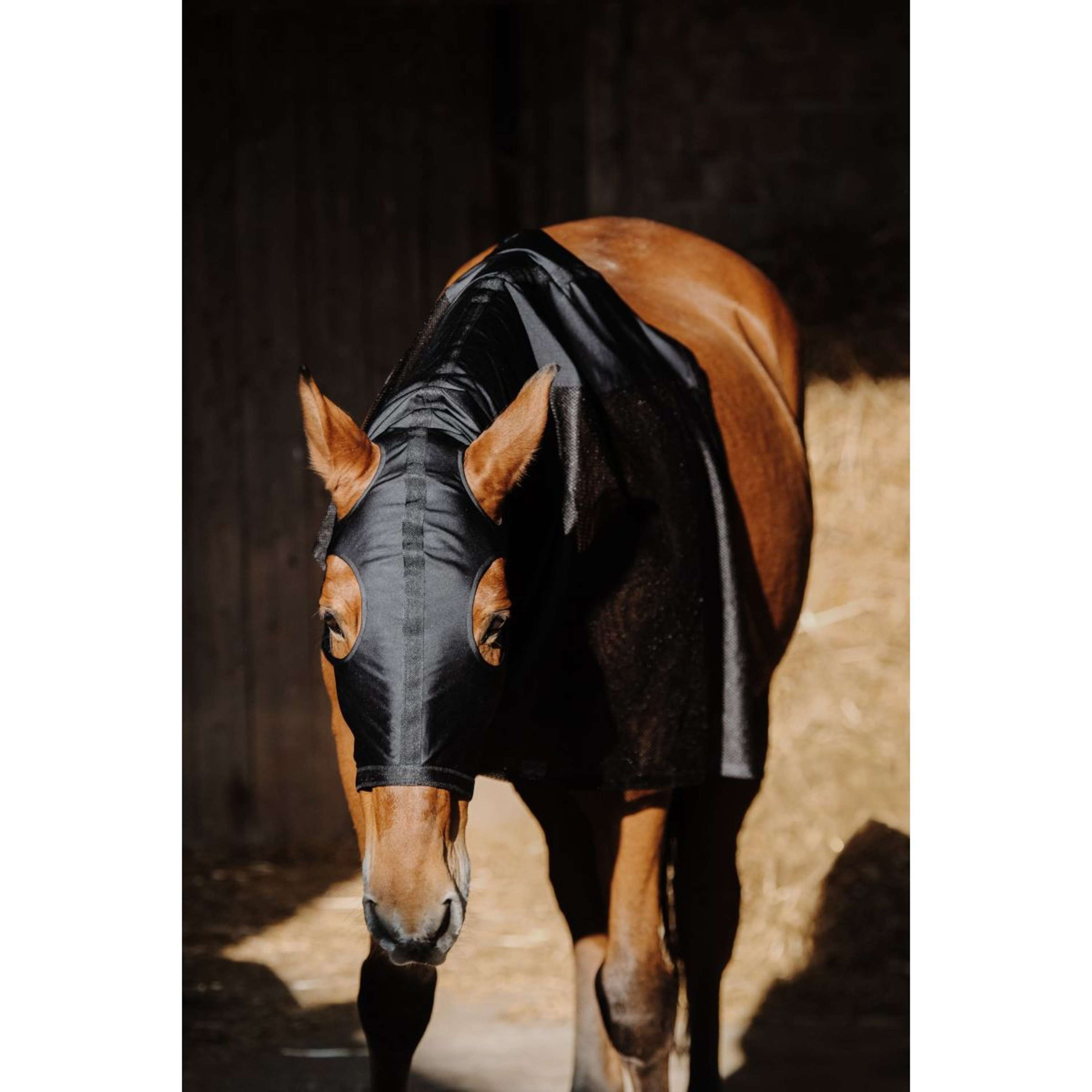 EQUITHÈME Nackenschutz Lycra/Mesh Schwarz