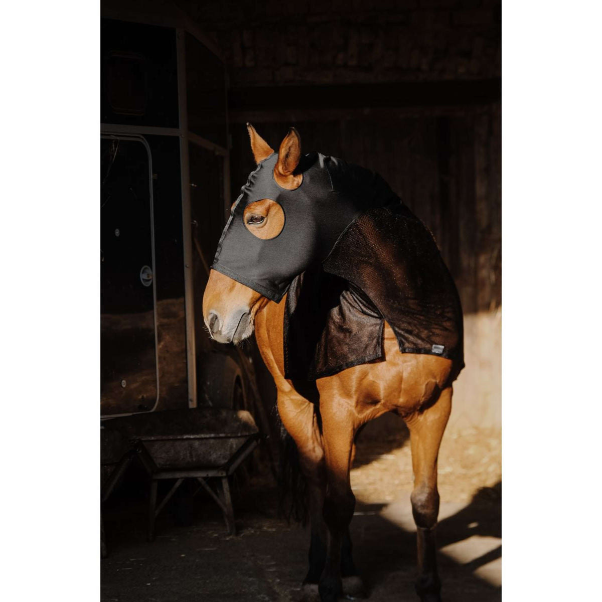 EQUITHÈME Nackenschutz Lycra/Mesh Schwarz