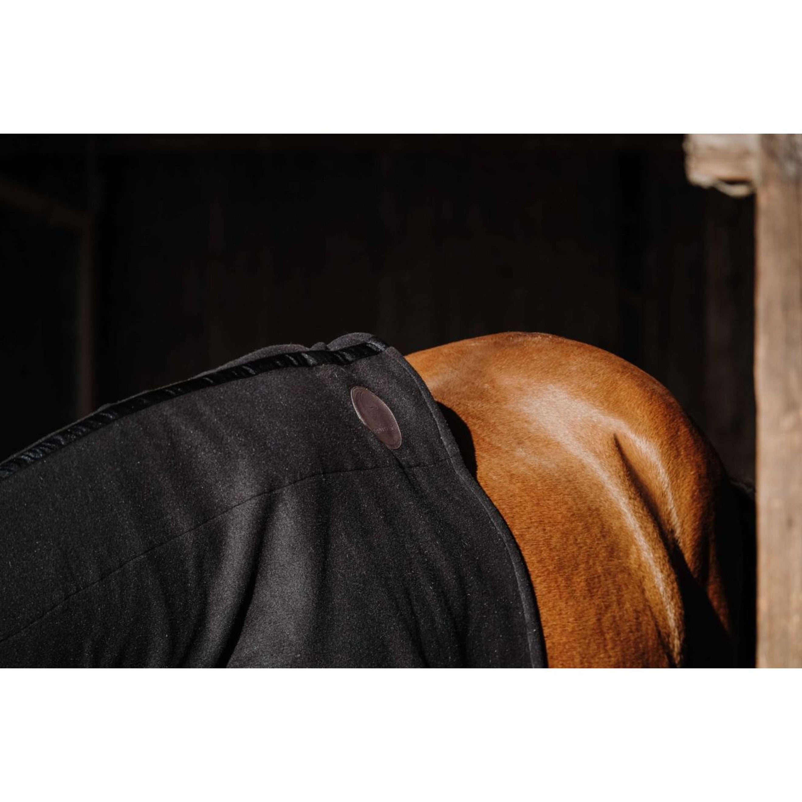 EQUITHÈME Halsschutz Fleece Schwarz EQUITHÈME Halsschutz Fleece Schwarz