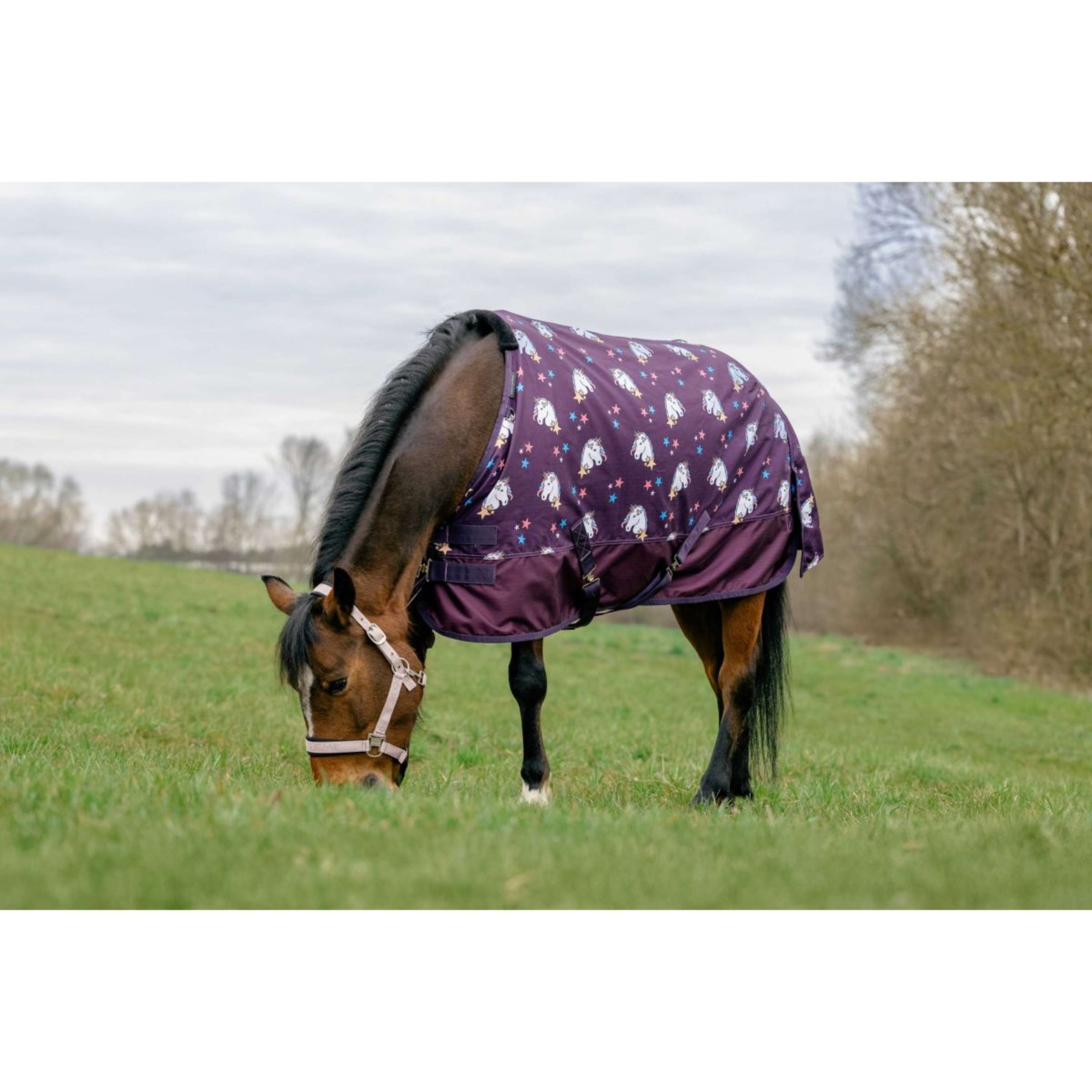 EQUITHÈME Turnout Decke Unicorn 600D 220g Pflaumenfarben
