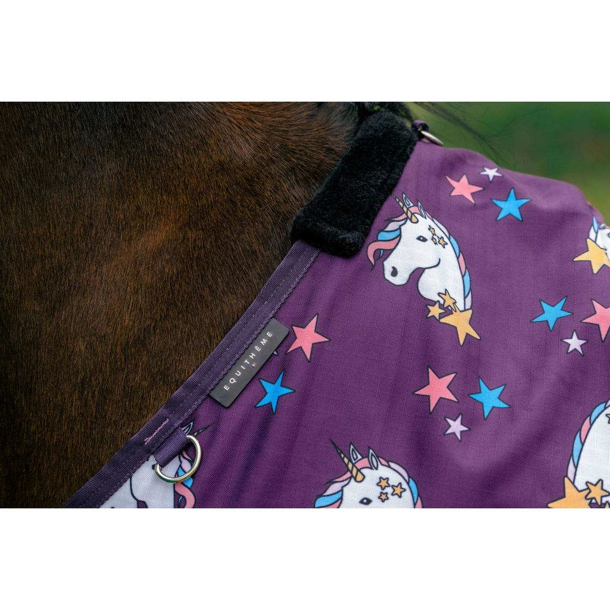 EQUITHÈME Turnout Decke Unicorn 600D 220g Pflaumenfarben