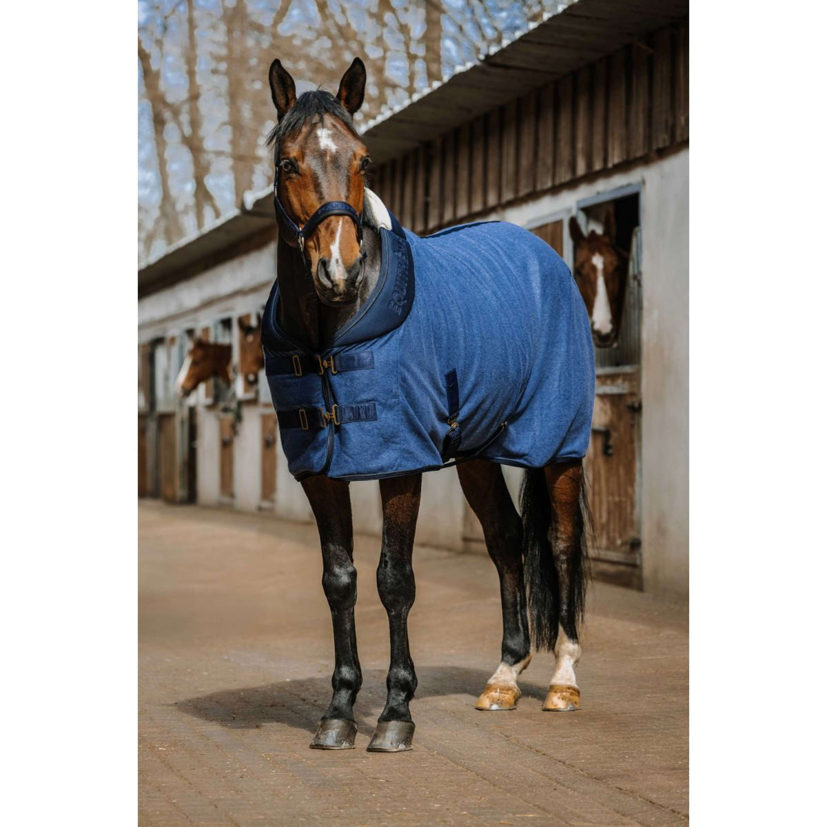 EQUITHÈME Abschwitzdecke Comfortech Navy