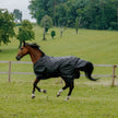 Schwarz