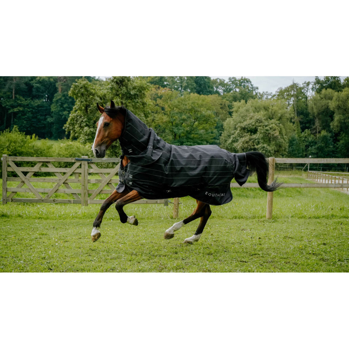 EQUITHÈME Regendecke TYREX Lumin 600D 0g Schwarz