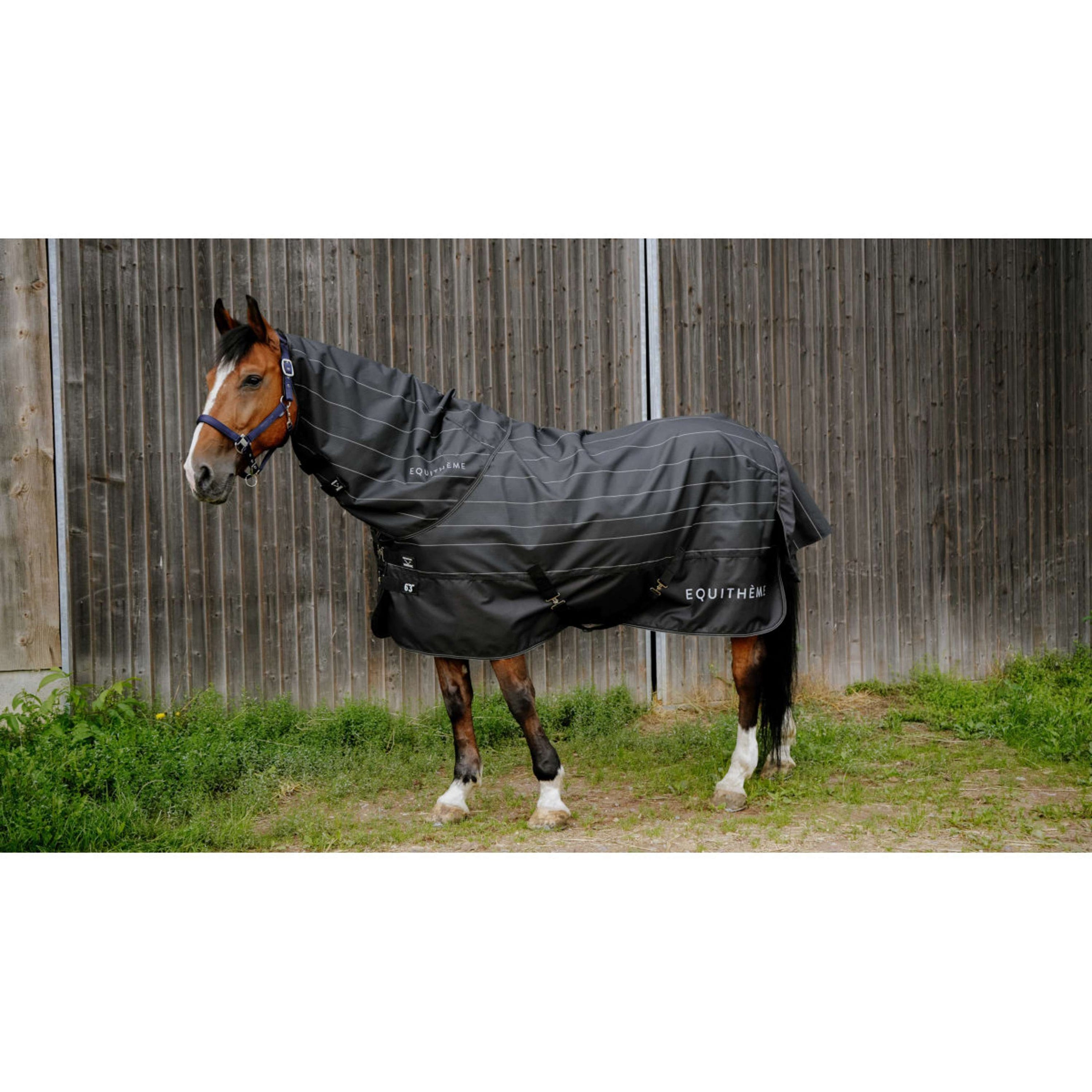 EQUITHÈME Regendecke Lumin 600D 50g Schwarz EQUITHÈME Regendecke Lumin 600D 50g Schwarz