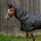 EQUITHÈME Halsstück TYREX Lumin 600D 0g Schwarz