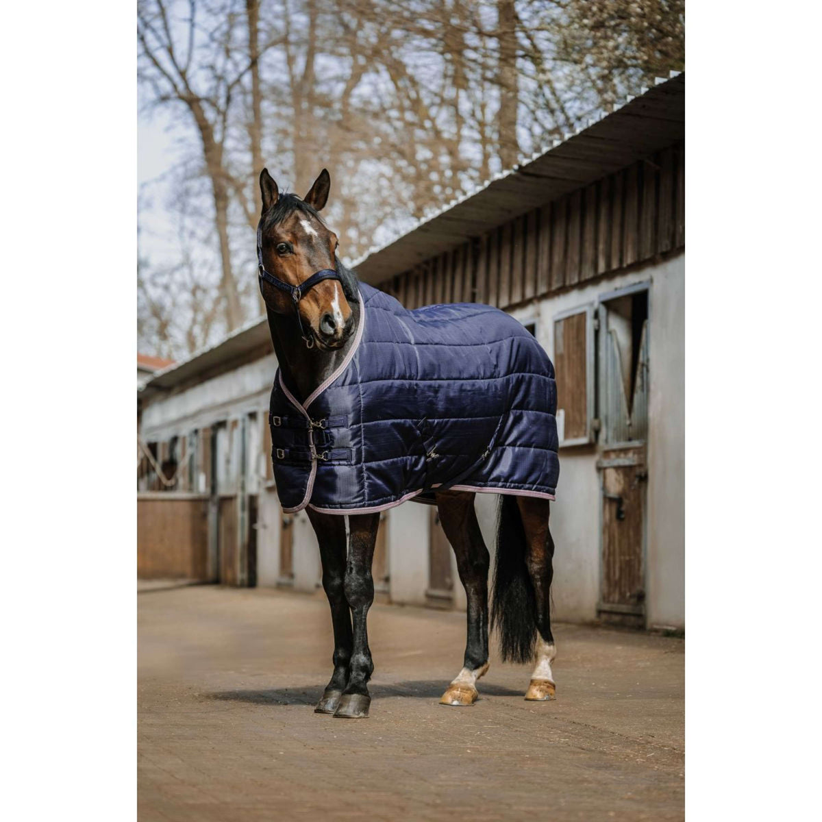 EQUITHÈME Stalldecke Aztec 50g Navy
