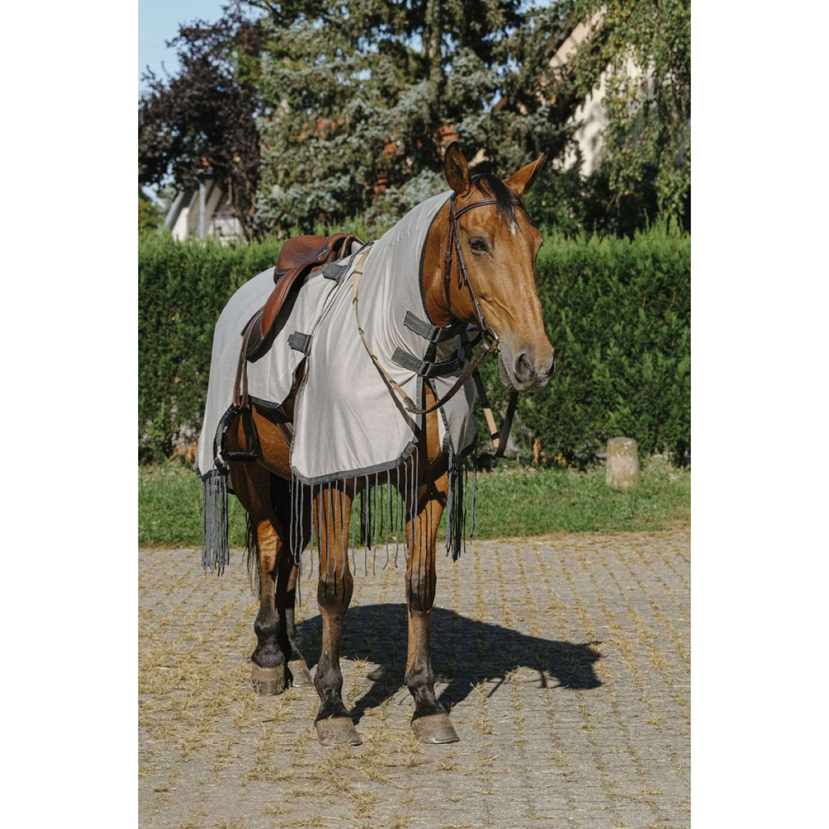 Riding World Fliegen-Ausreitdecke Mesh Grau