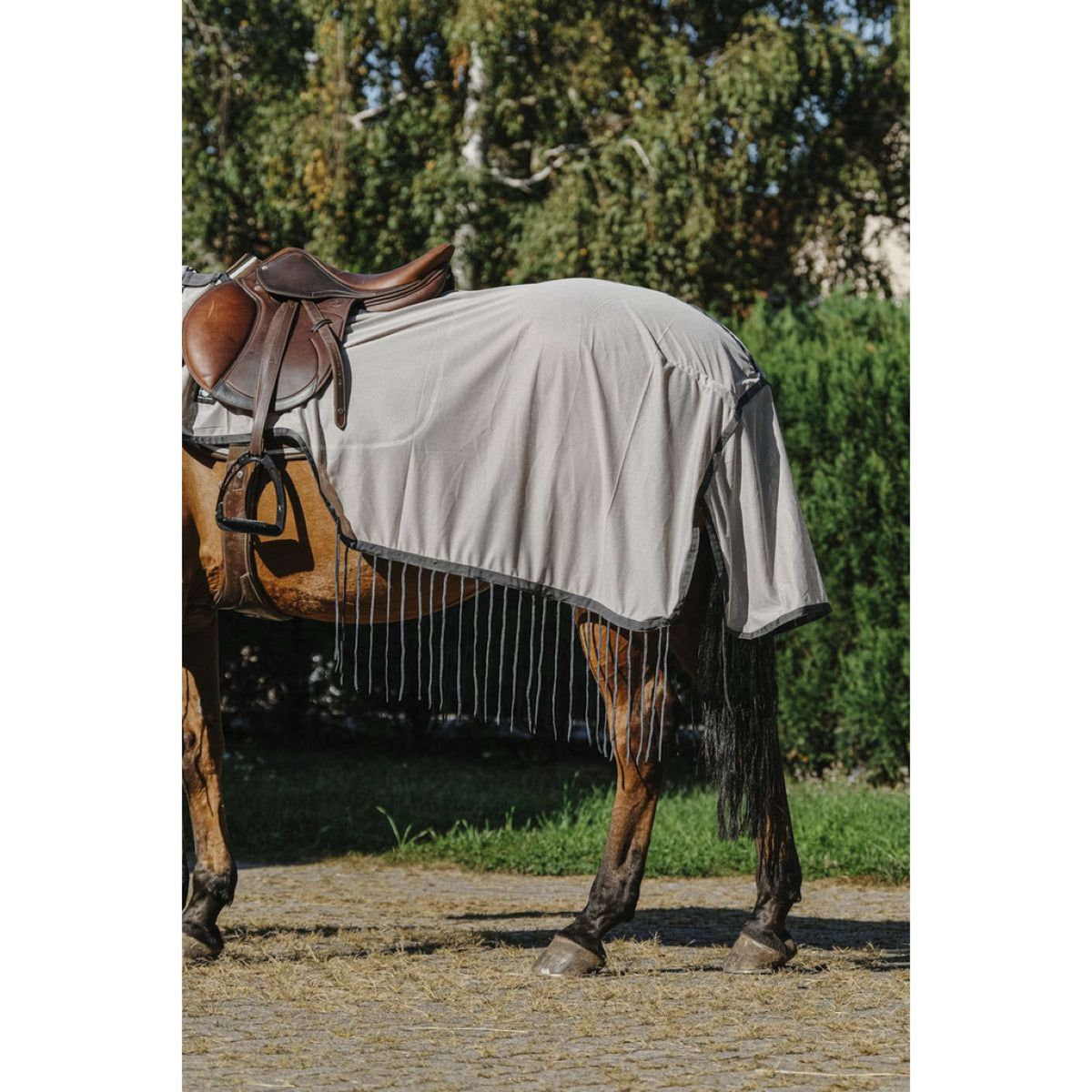 Riding World Fliegen-Ausreitdecke Mesh Grau