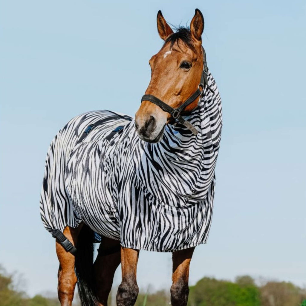 Riding World Ekzemerdecke Zebra