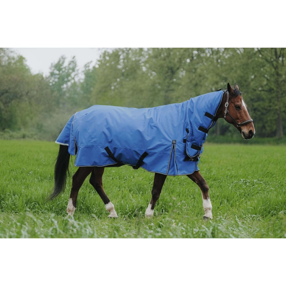 EQUITHÈME Outdoordecke Tyrex 1200D 300g Aisance Combo Royal Blue