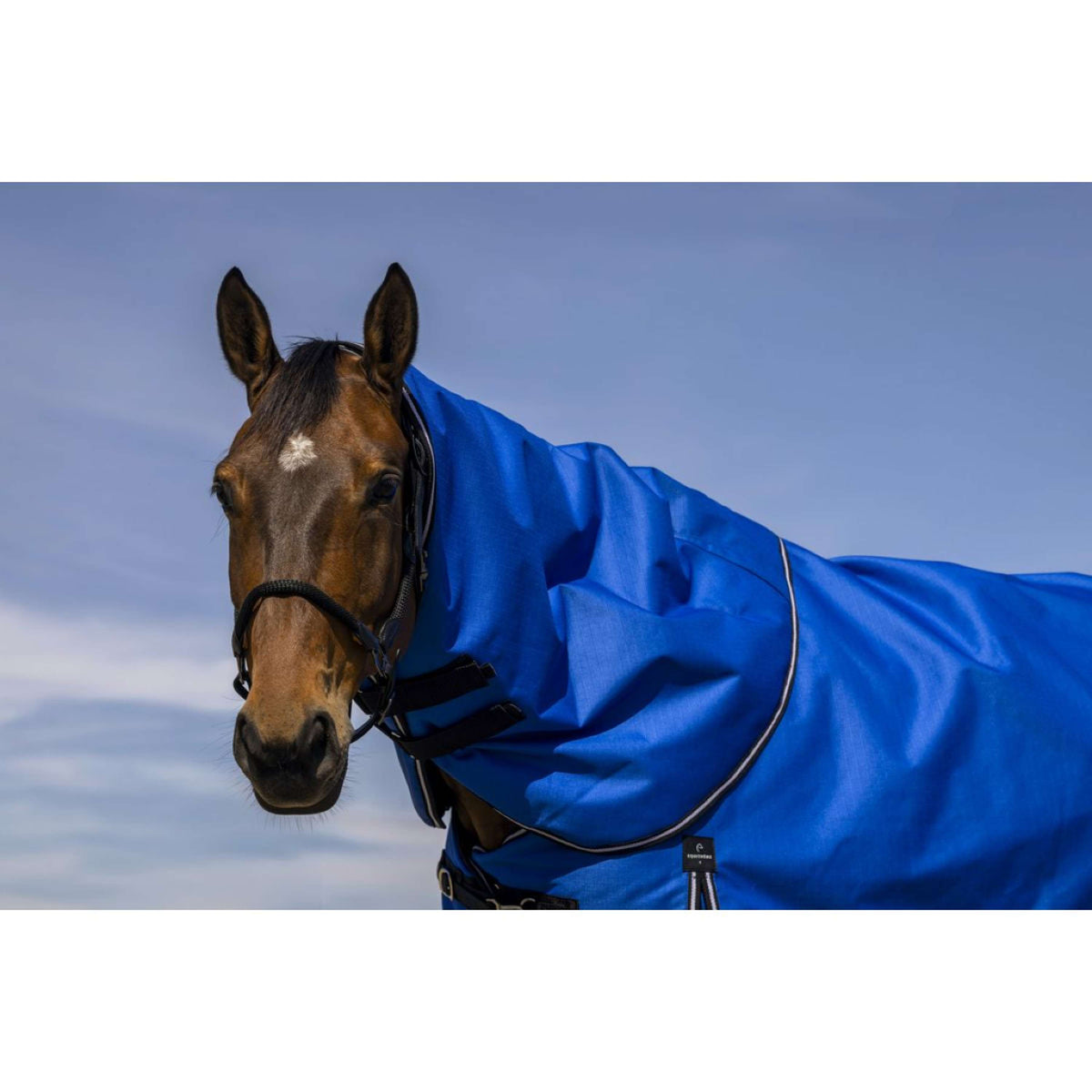 EQUITHÈME Halsstück 1200D 200g Aisance Royal Blue