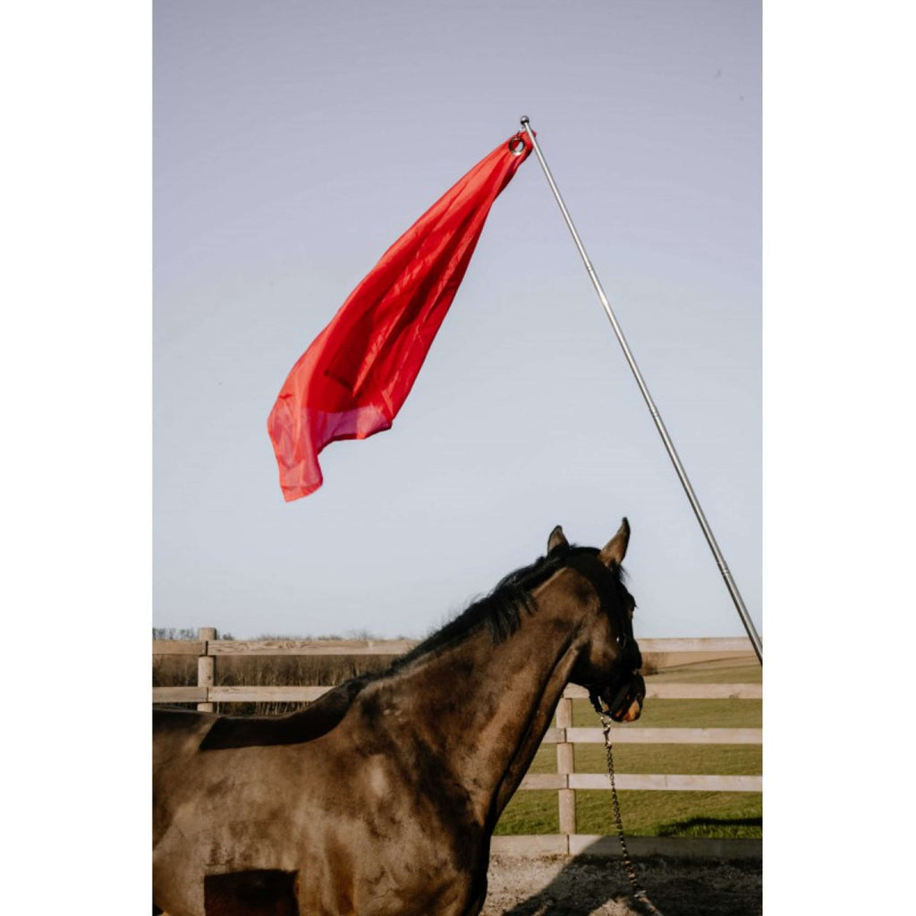 Hippotonic Trainingsstock Ethologisch mit Flagge Rot