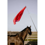 Hippotonic Trainingsstock Ethologisch mit Flagge Rot