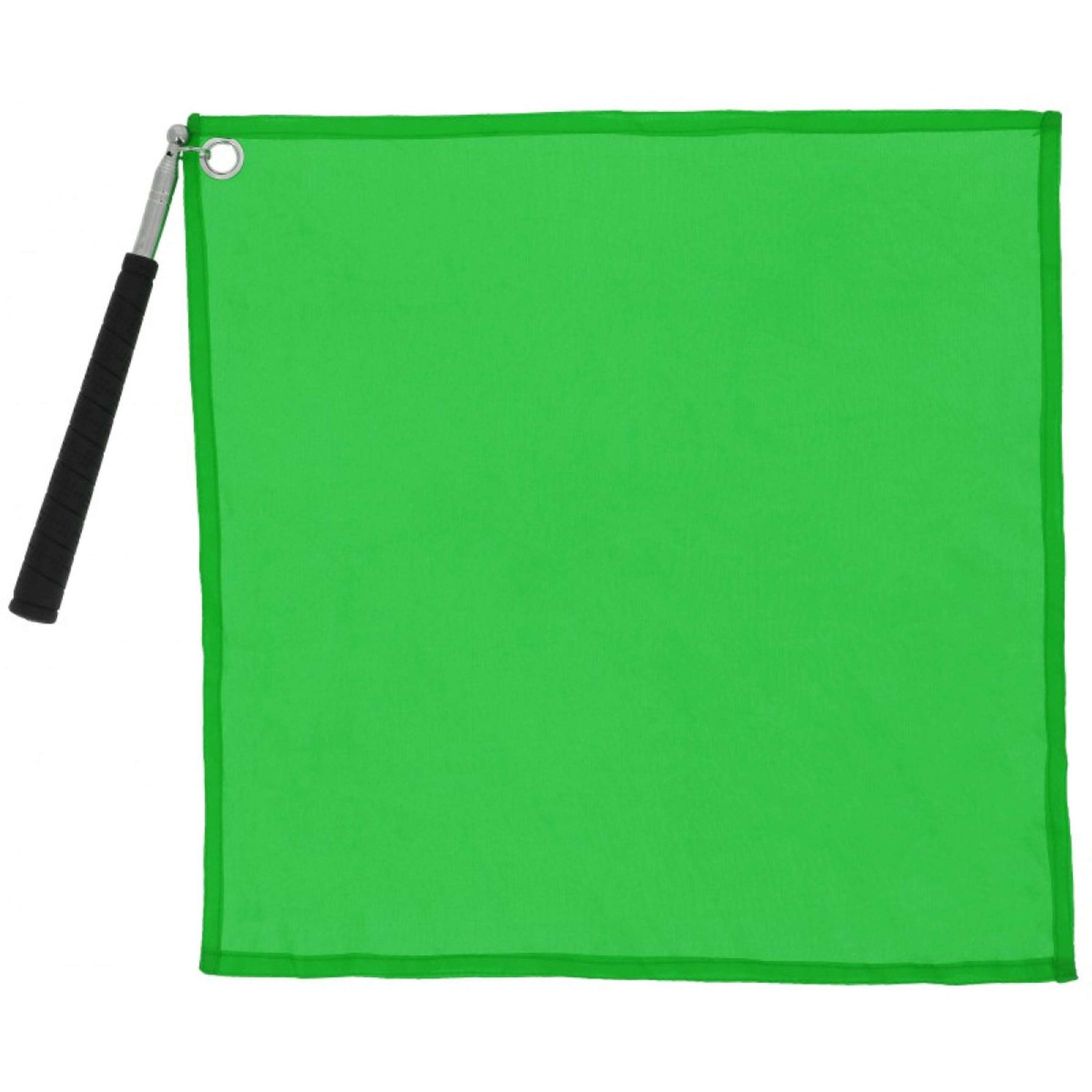 Hippotonic Trainingsstock Ethologisch mit Flagge Grün