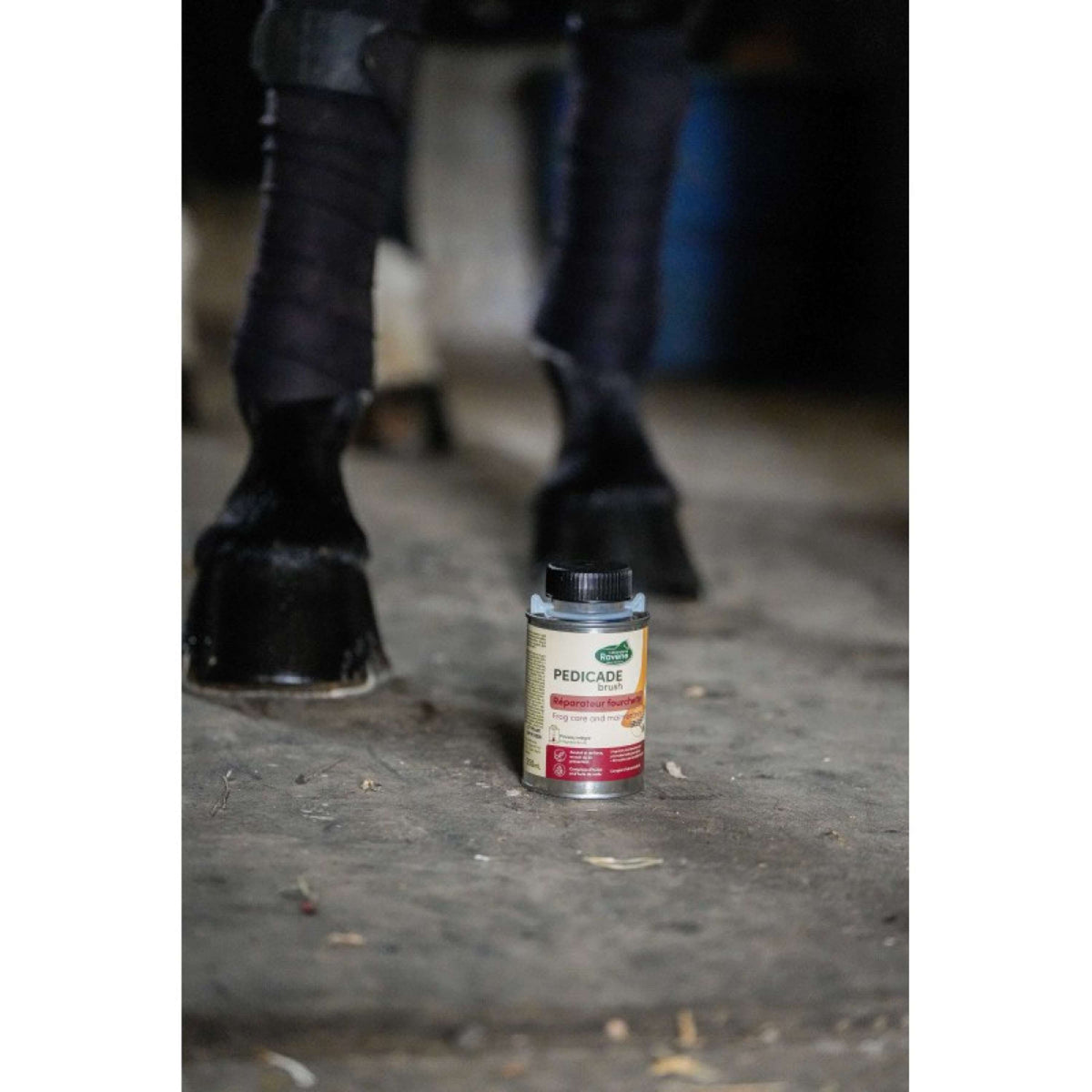 Ravene Pedicade Brush für Pferdehufe