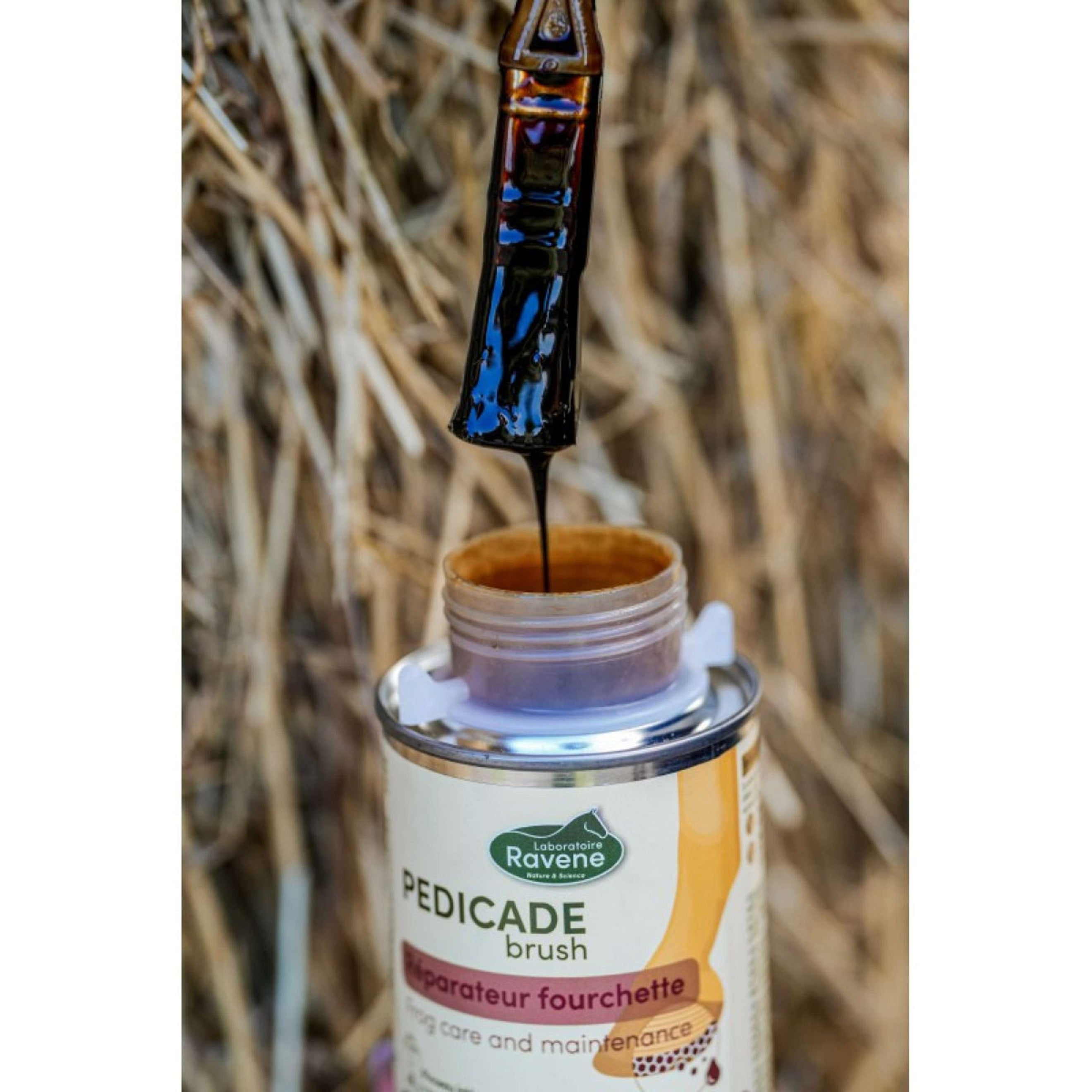 Ravene Pedicade Brush für Pferdehufe Ravene Pedicade Brush für Pferdehufe