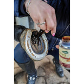 Ravene Pedicade Brush für Pferdehufe