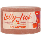 Hippotonic Lolly-Lick Hundsrose