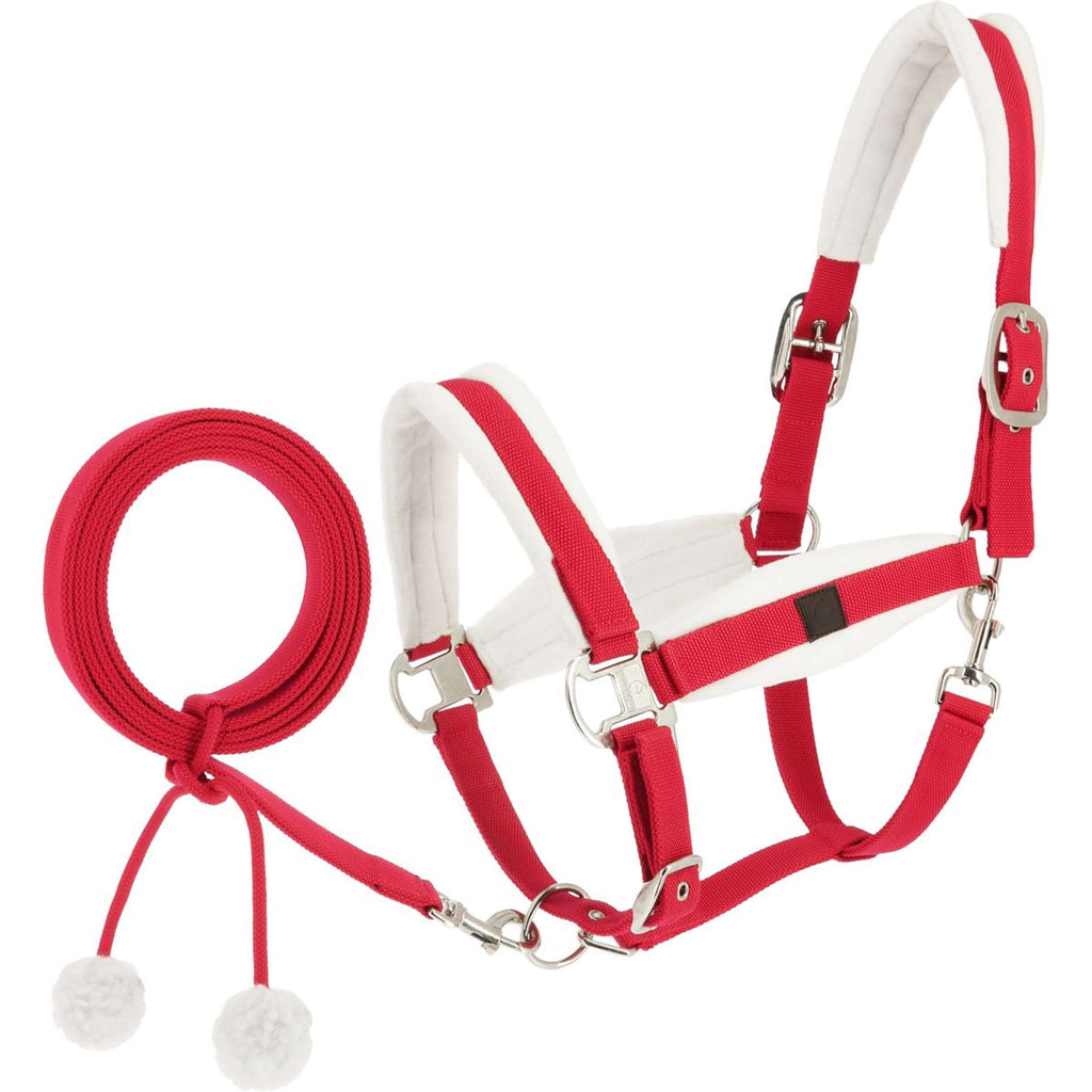EQUITHÈME Halfter Set Weihnachten Rot