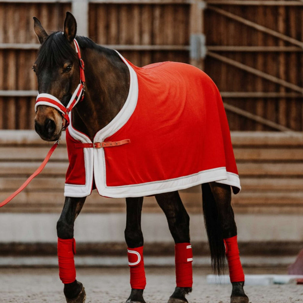 EQUITHÈME Halfter Set Weihnachten Rot