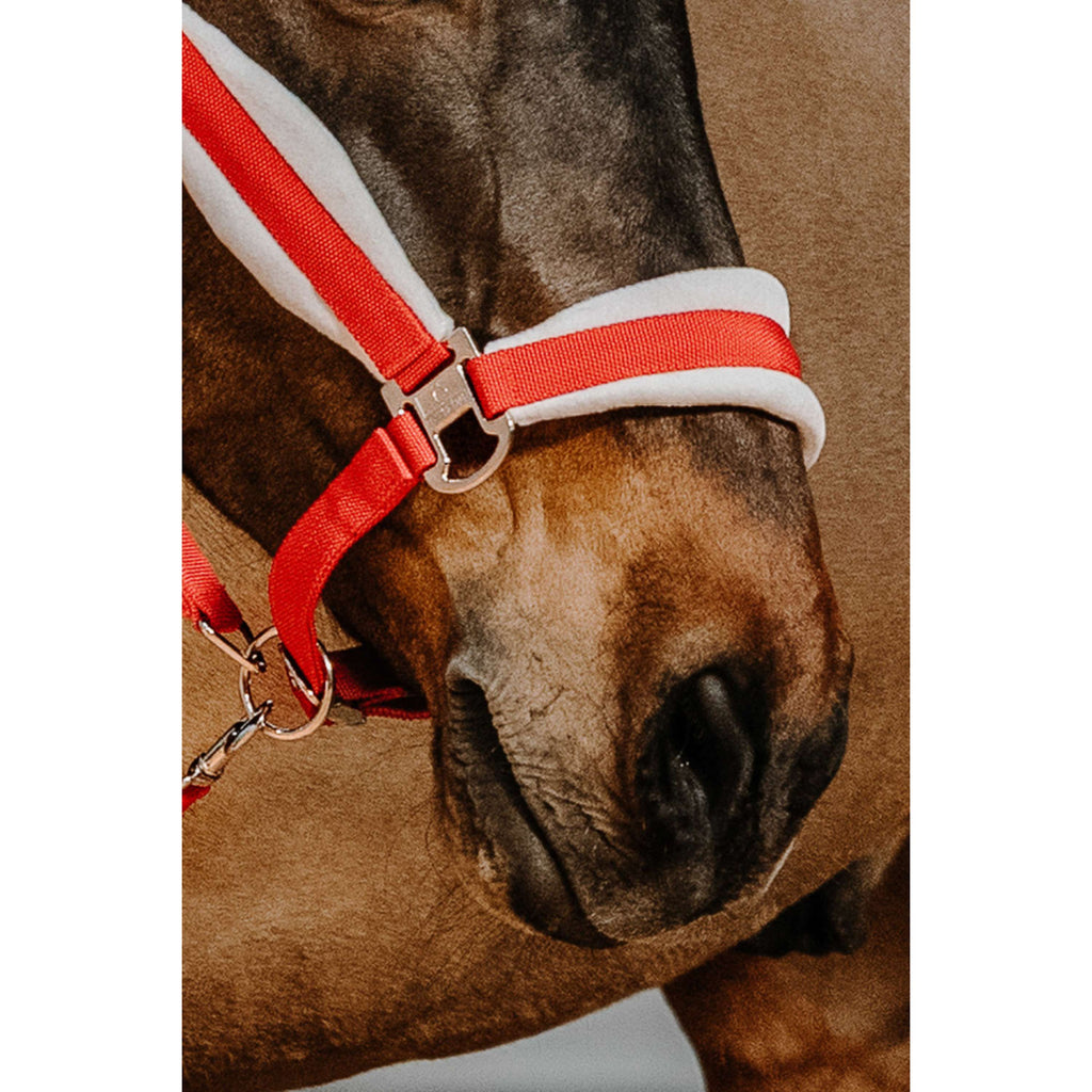 EQUITHÈME Halfter Set Weihnachten Rot