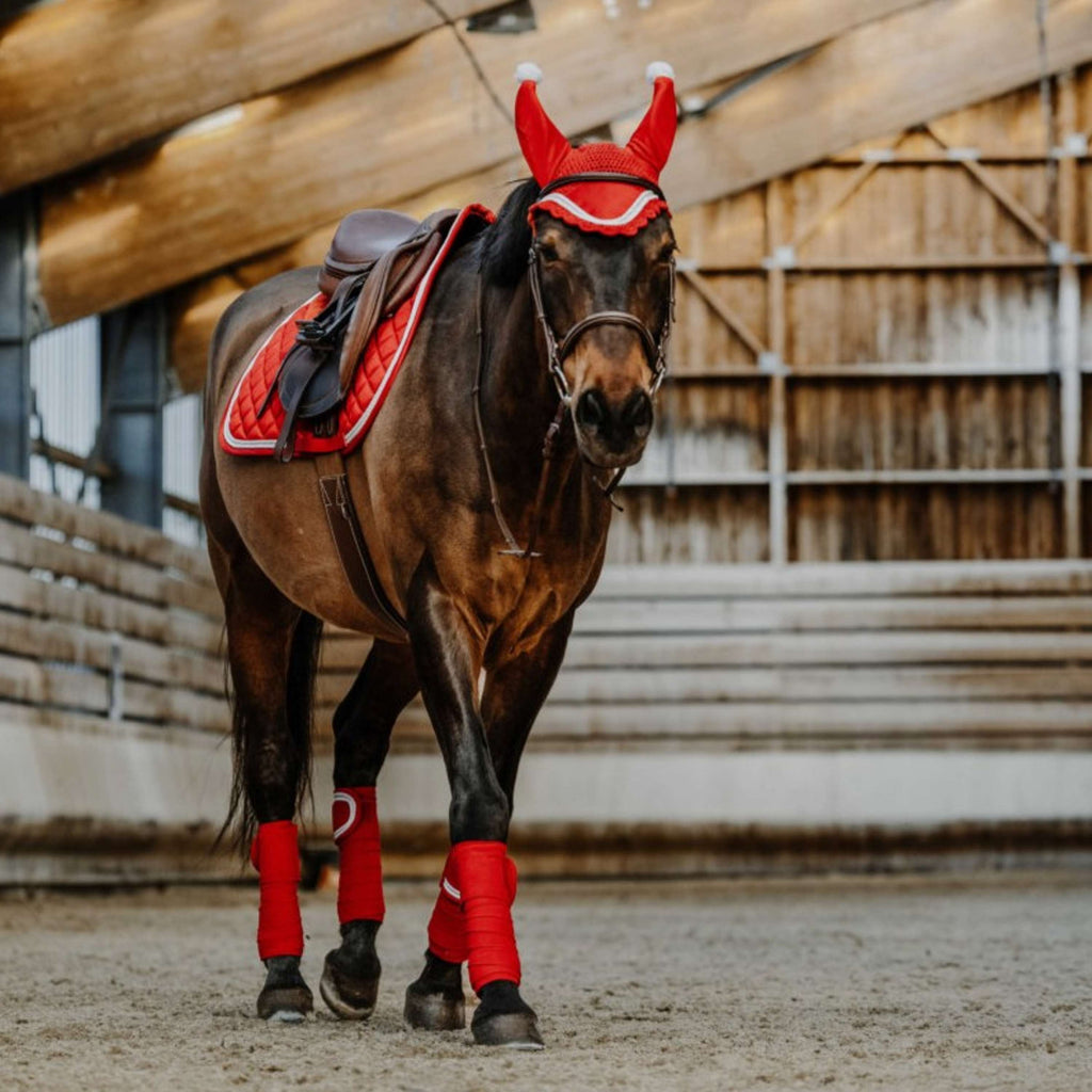 EQUITHÈME Bandagen Weihnachten Rot