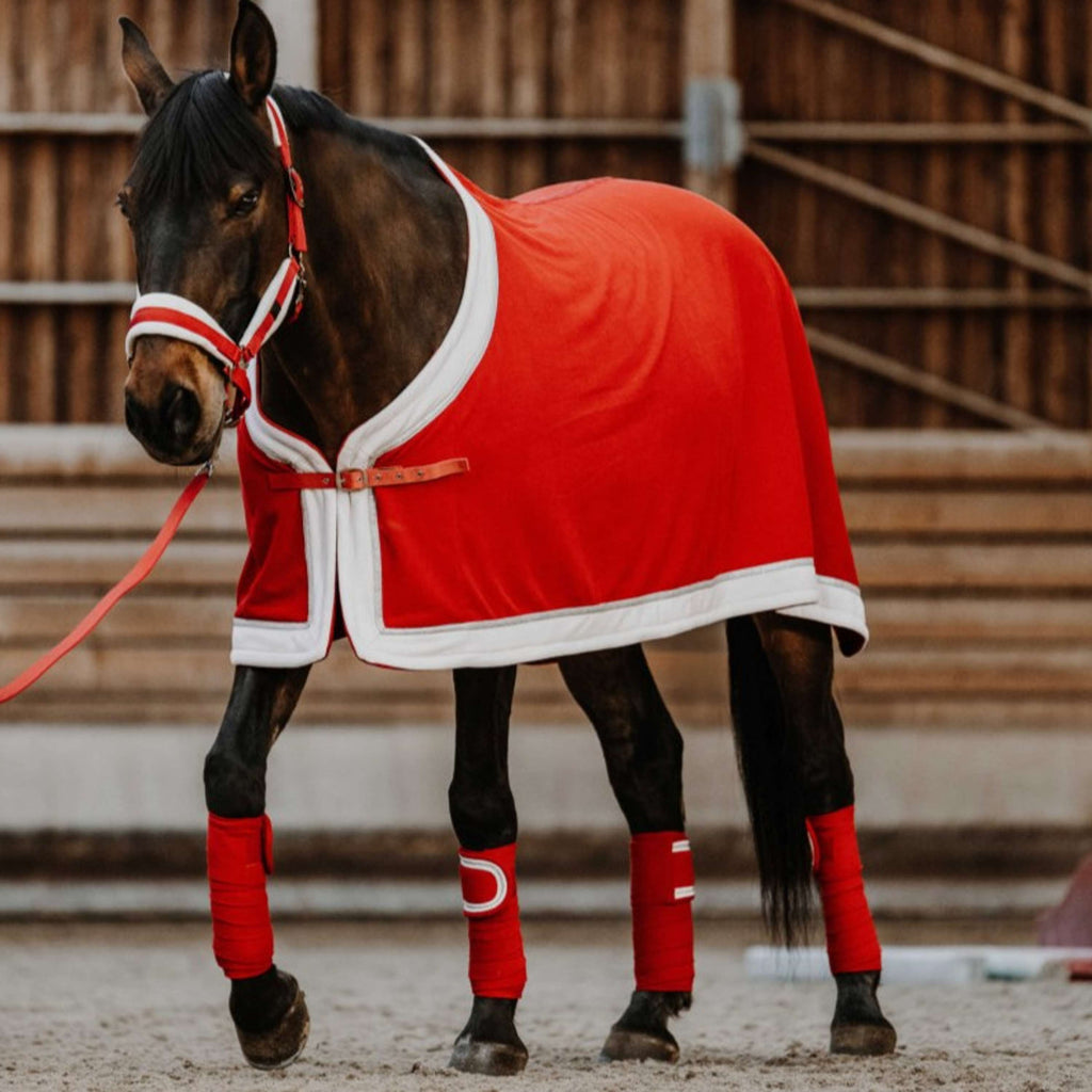 EQUITHÈME Bandagen Weihnachten Rot