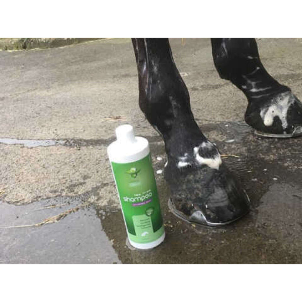 Animaderm Shampoo Tea Tree