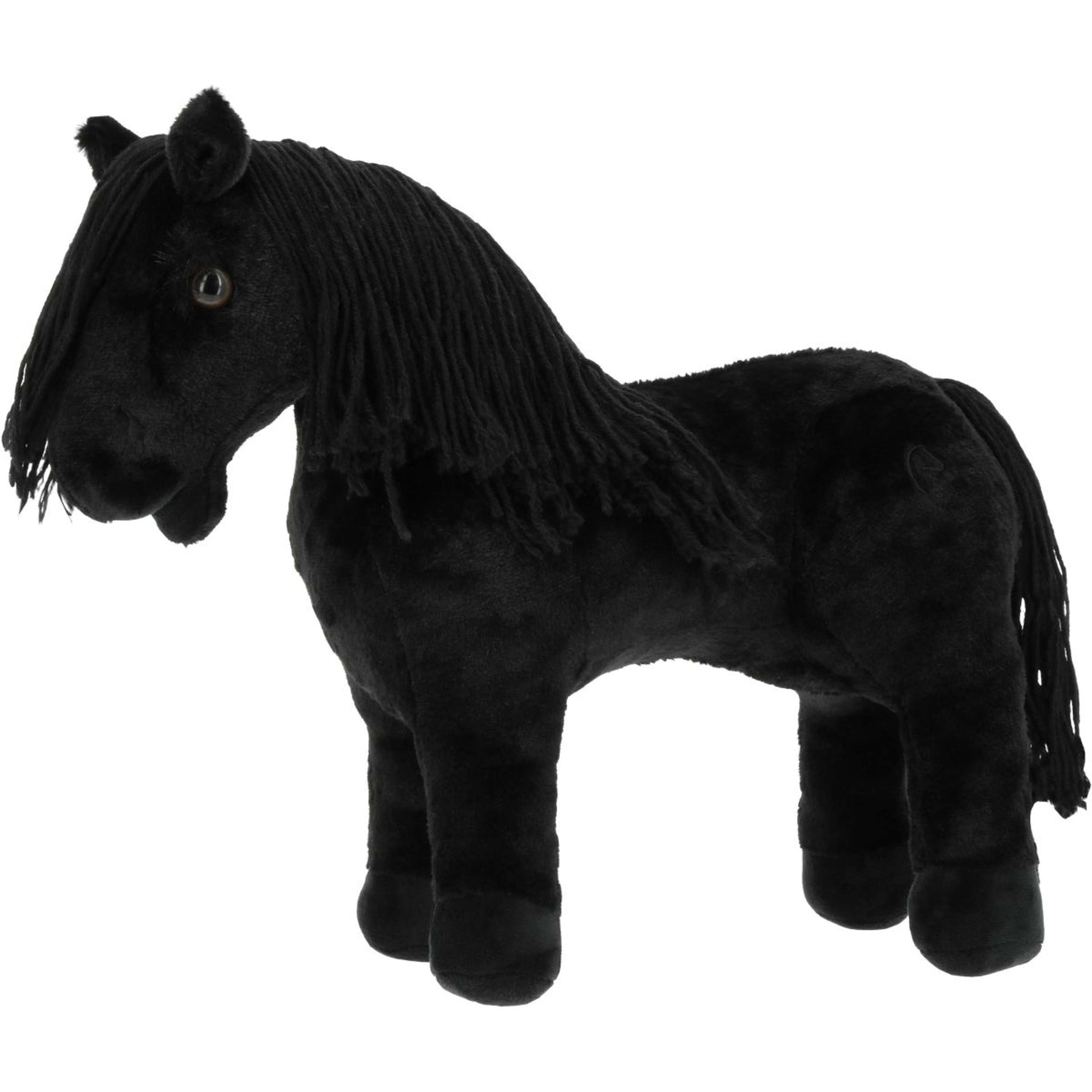 EQUITHÈME Pony Academy Eclair