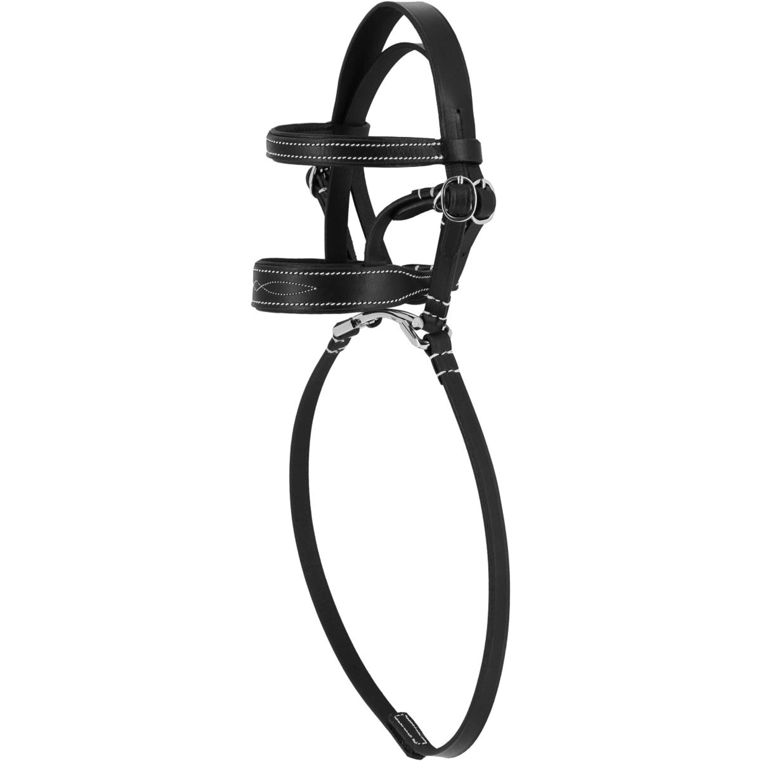 EQUITHÈME Pony Academy Zaum Schwarz