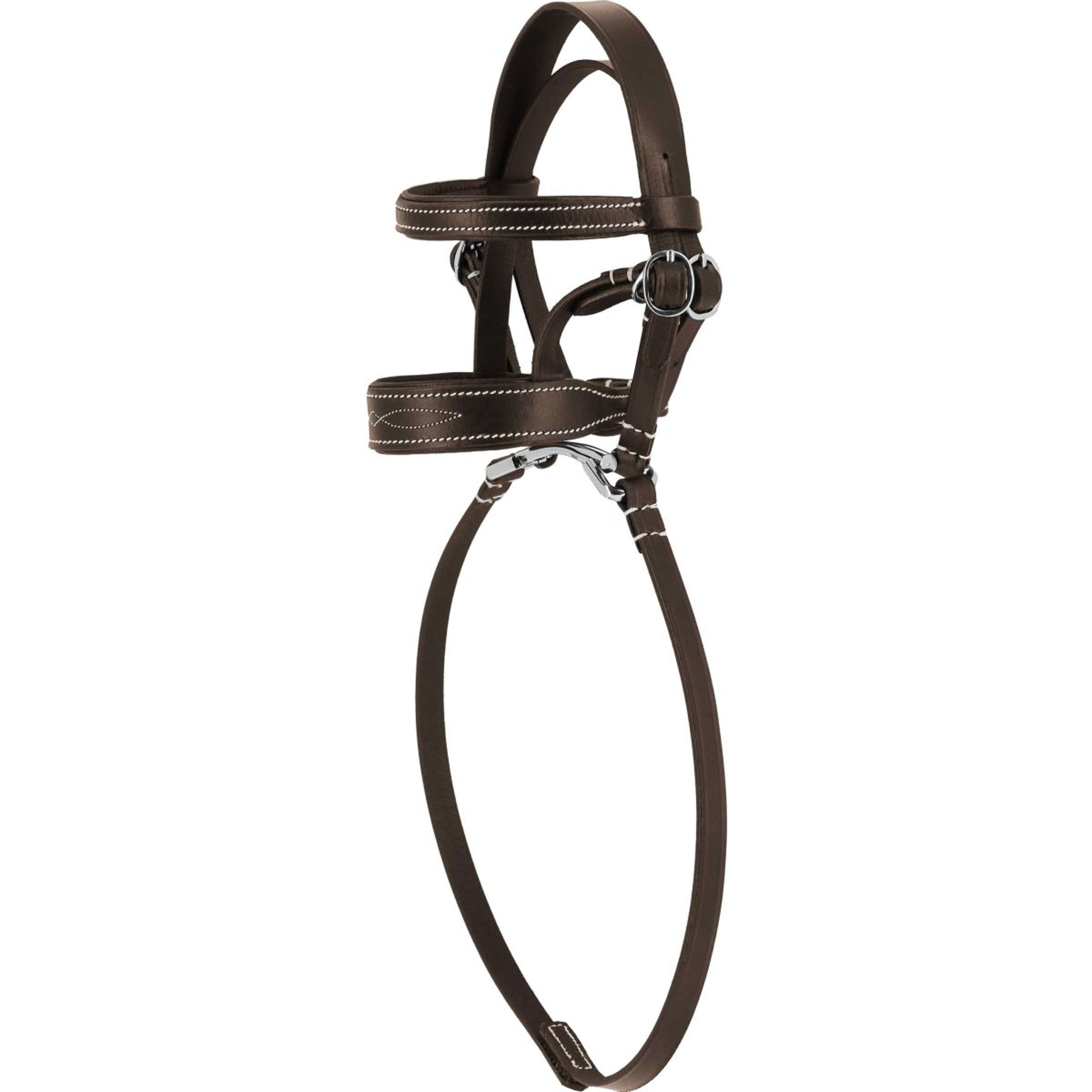 EQUITHÈME Pony Academy Zaum Havanna EQUITHÈME Pony Academy Zaum Havanna
