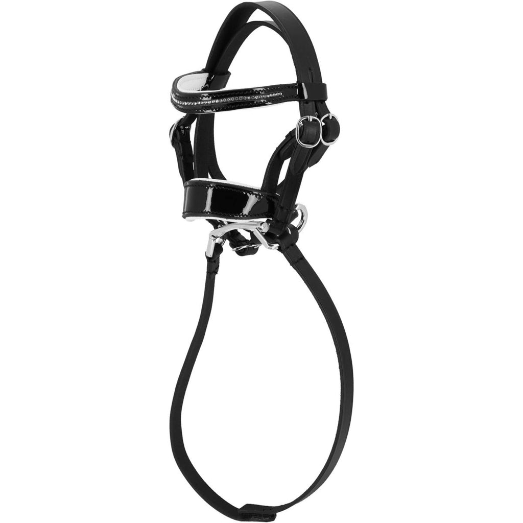 EQUITHÈME Pony Academy Zaum Dressur Schwarz