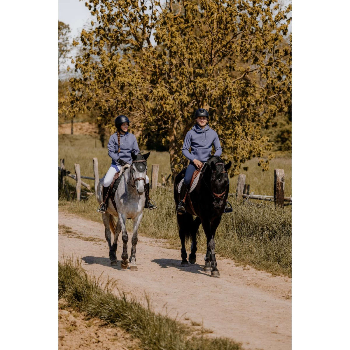 EQUITHÈME Pullover Axel Grau