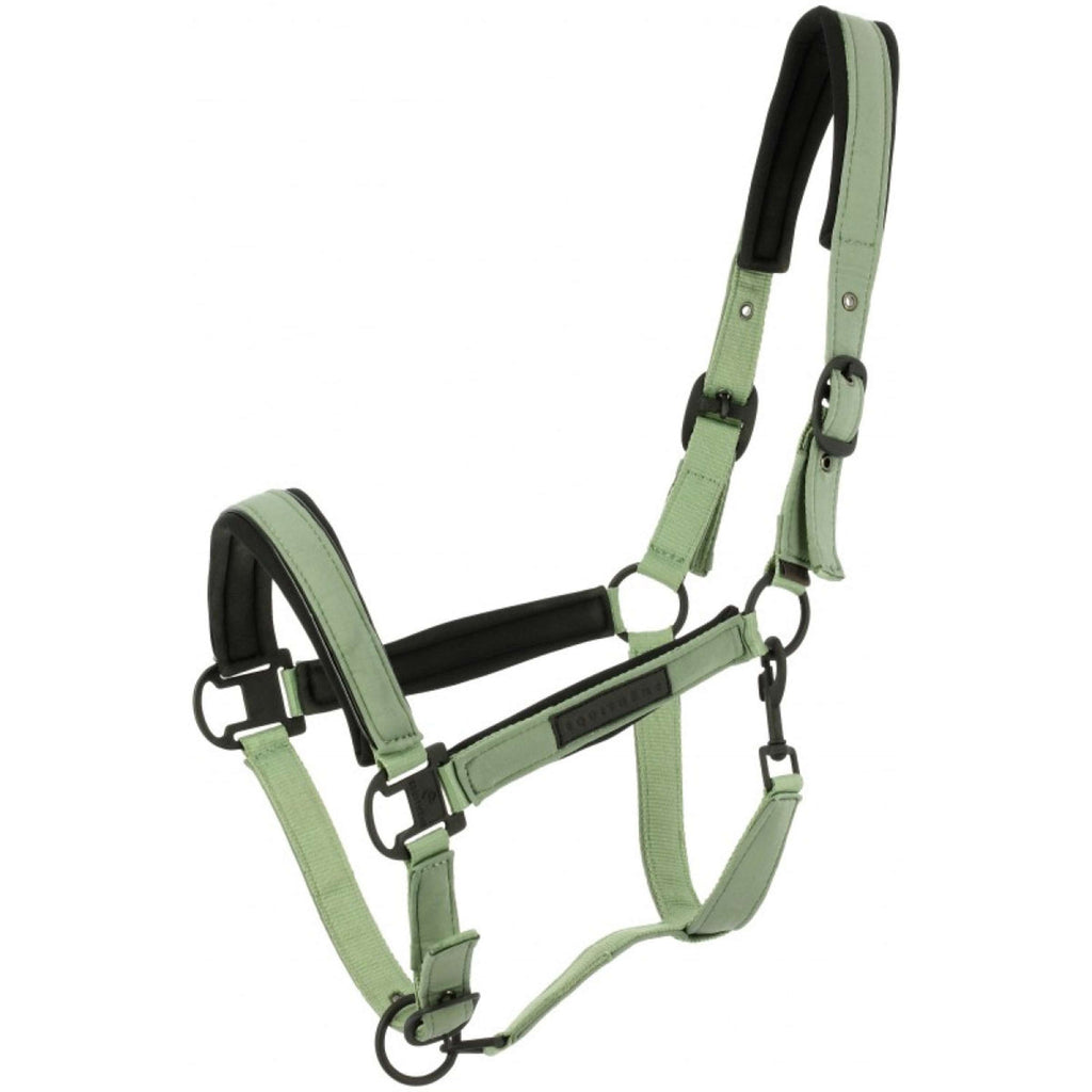 EQUITHÈME Halfter Pearl Grün