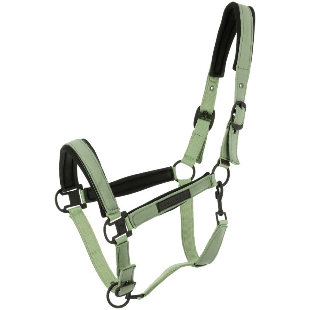 EQUITHÈME Halfter Pearl Grün