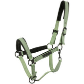 EQUITHÈME Halfter Pearl Grün