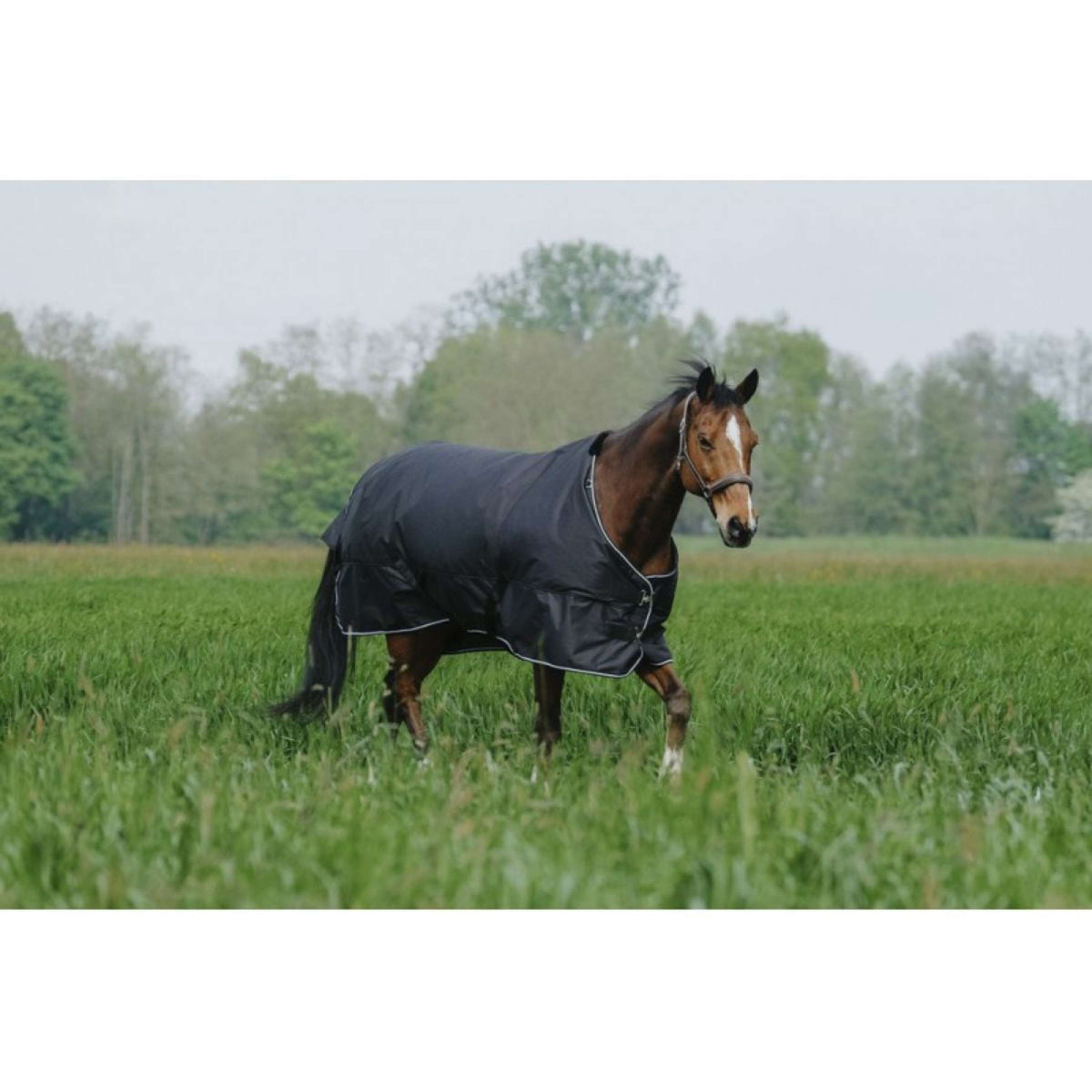 EQUITHÈME Outdoordecke Tyrex 600D Standard 300g Schwarz