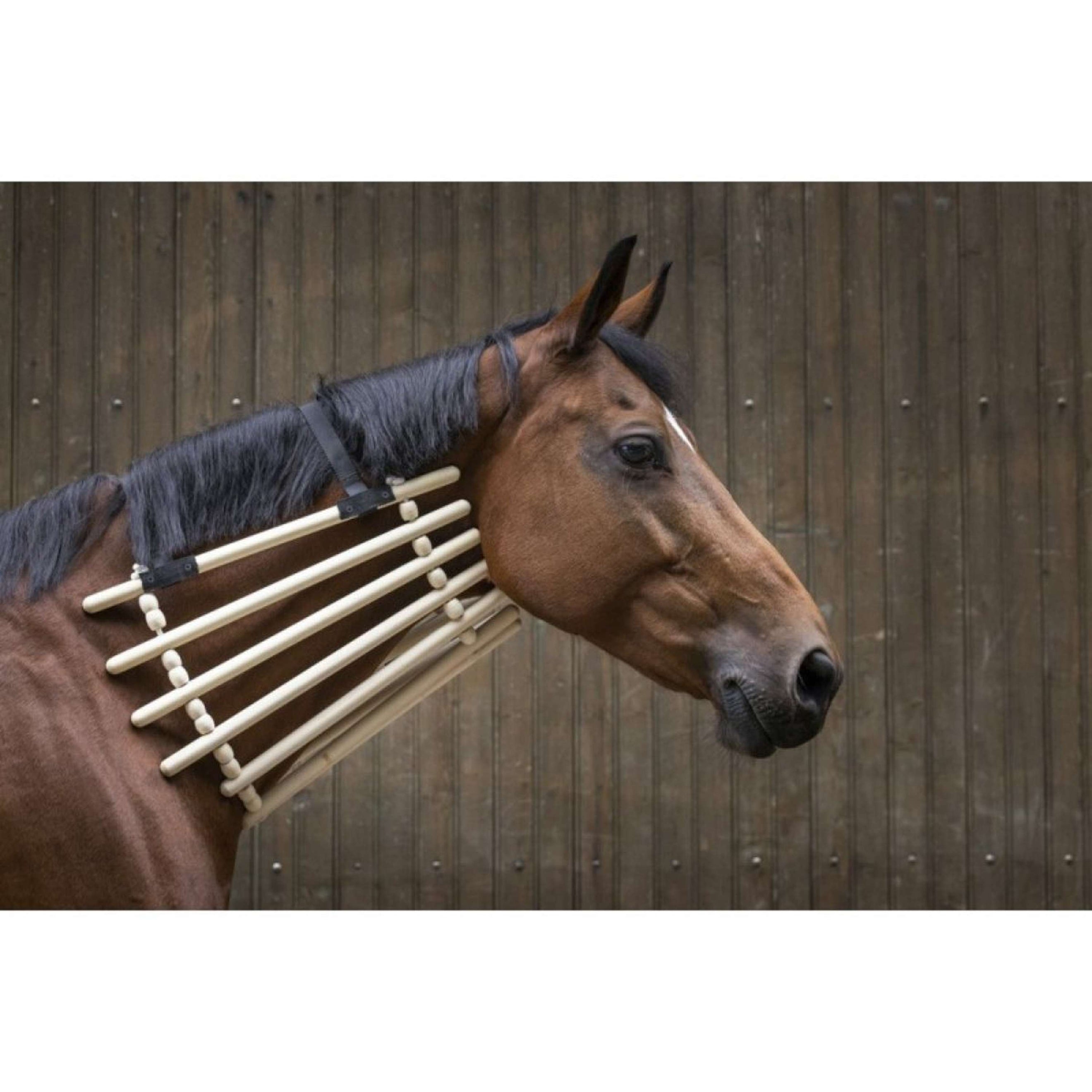 Hippotonic Halskragen Hippotonic Halskragen