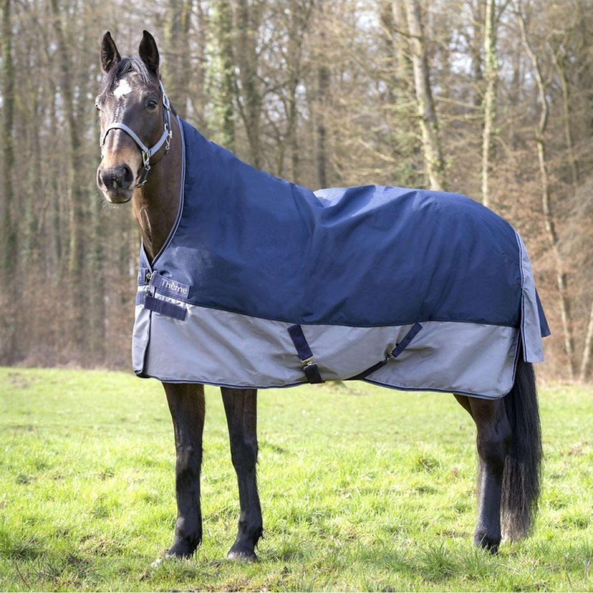 EQUITHÈME Tyrex High Neck 600D 150g Navy/Grau Dots