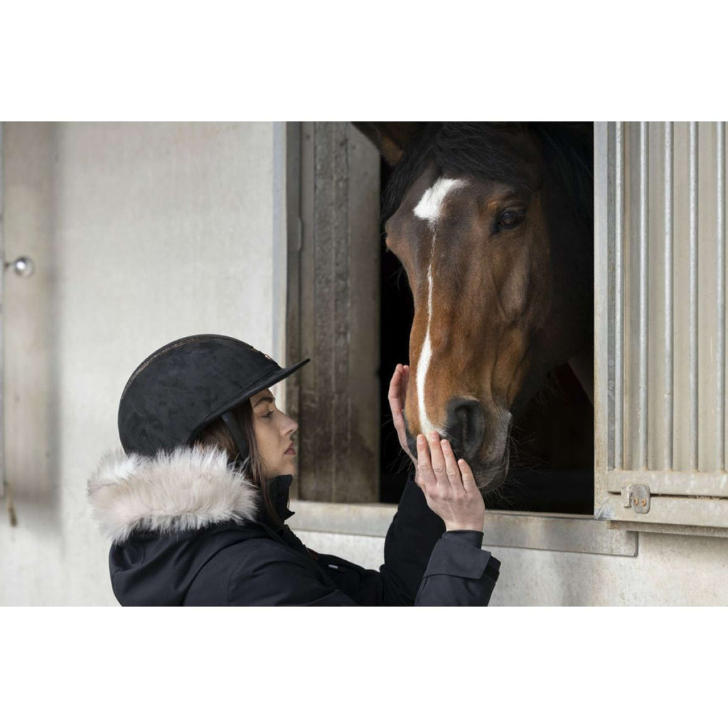 EQUITHÈME Reithelm Glint Lamé Schwarz/Roségold