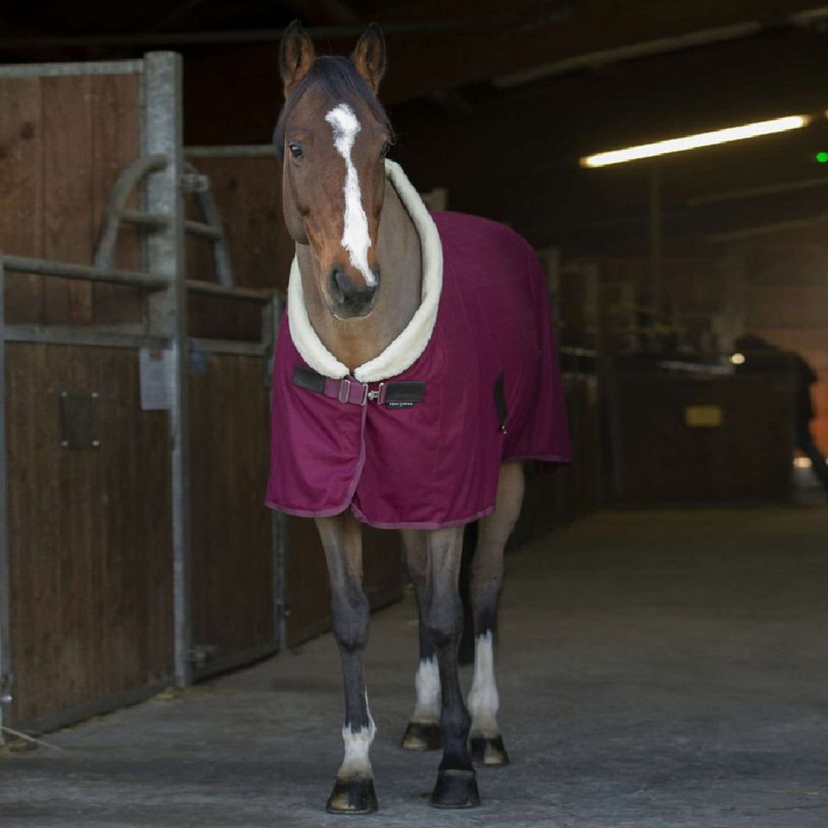 EQUITHÈME Cooler Teddy Weinrot/Cremeweiß