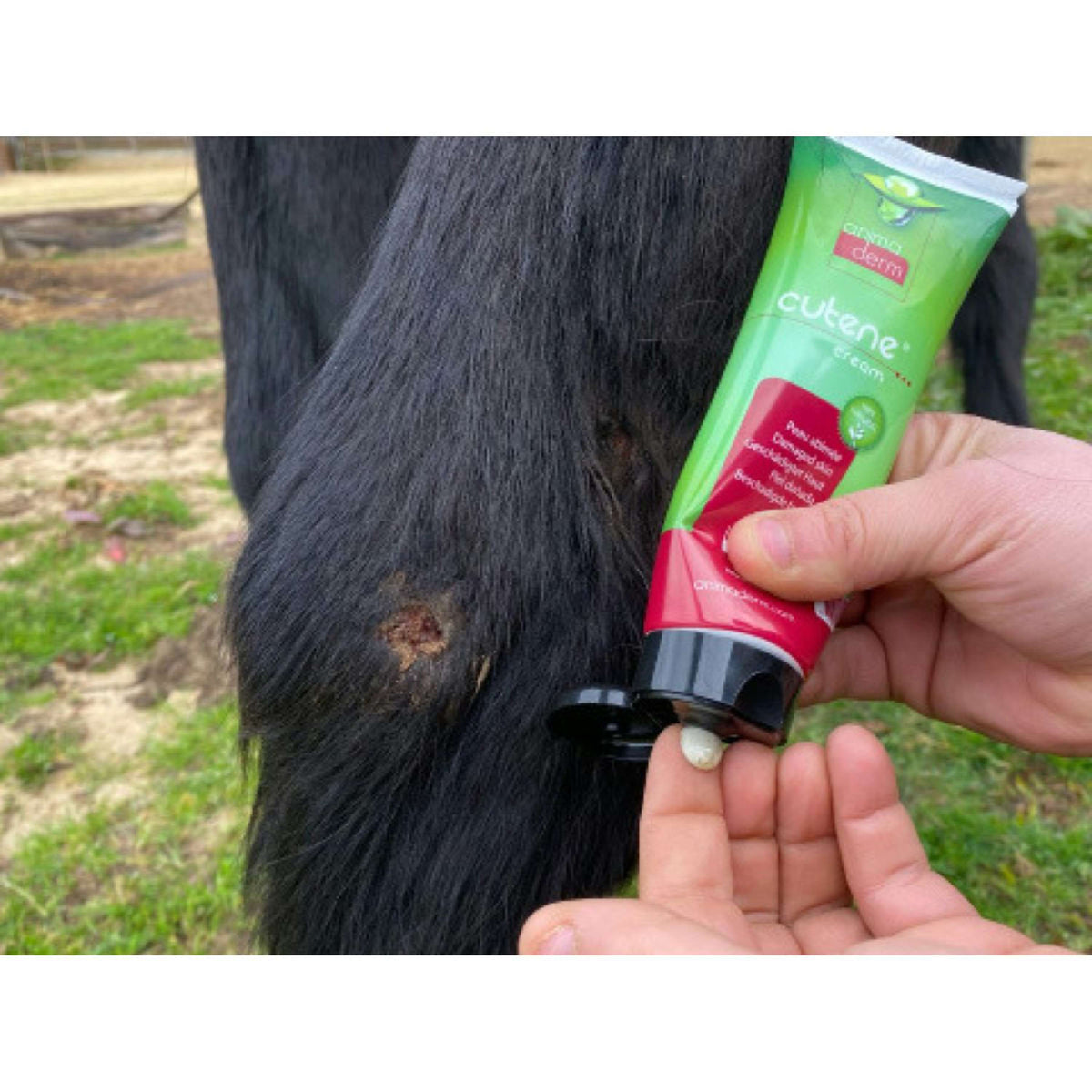 Animaderm Pflegecreme Cutene