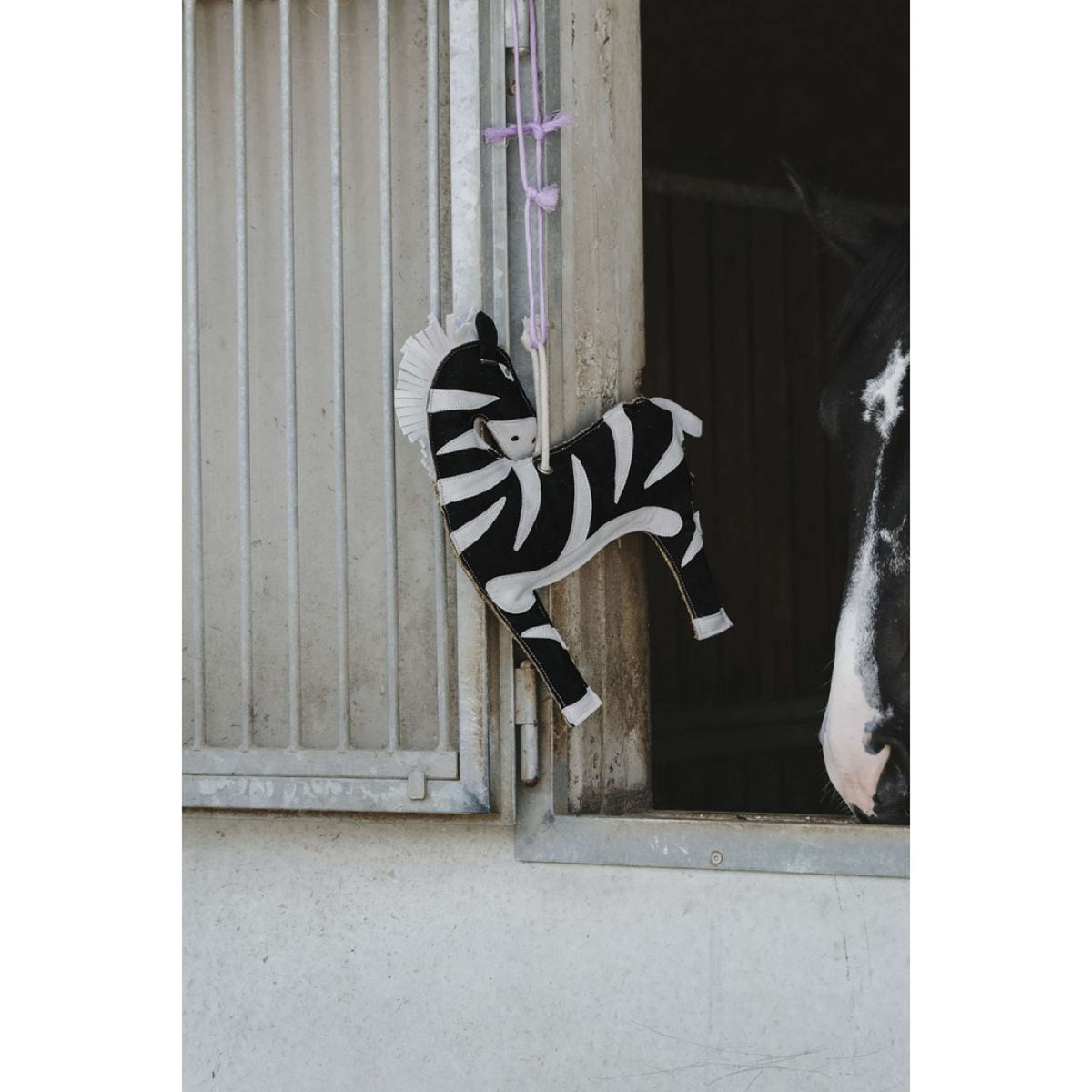 Hippotonic Horse Toy Zebra